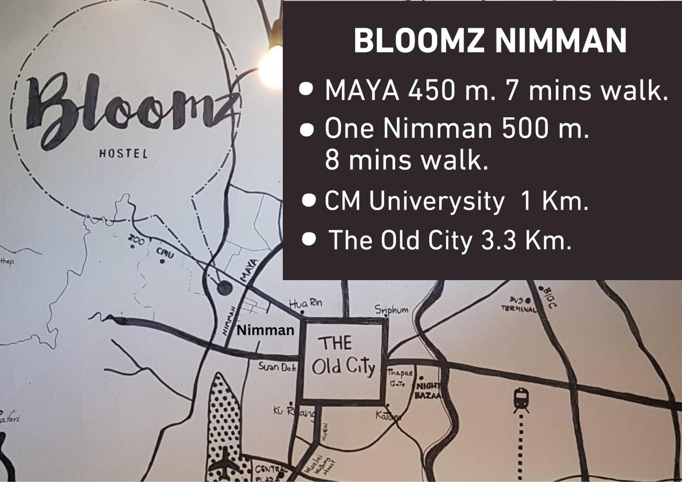BLOOMZ HOSTEL
