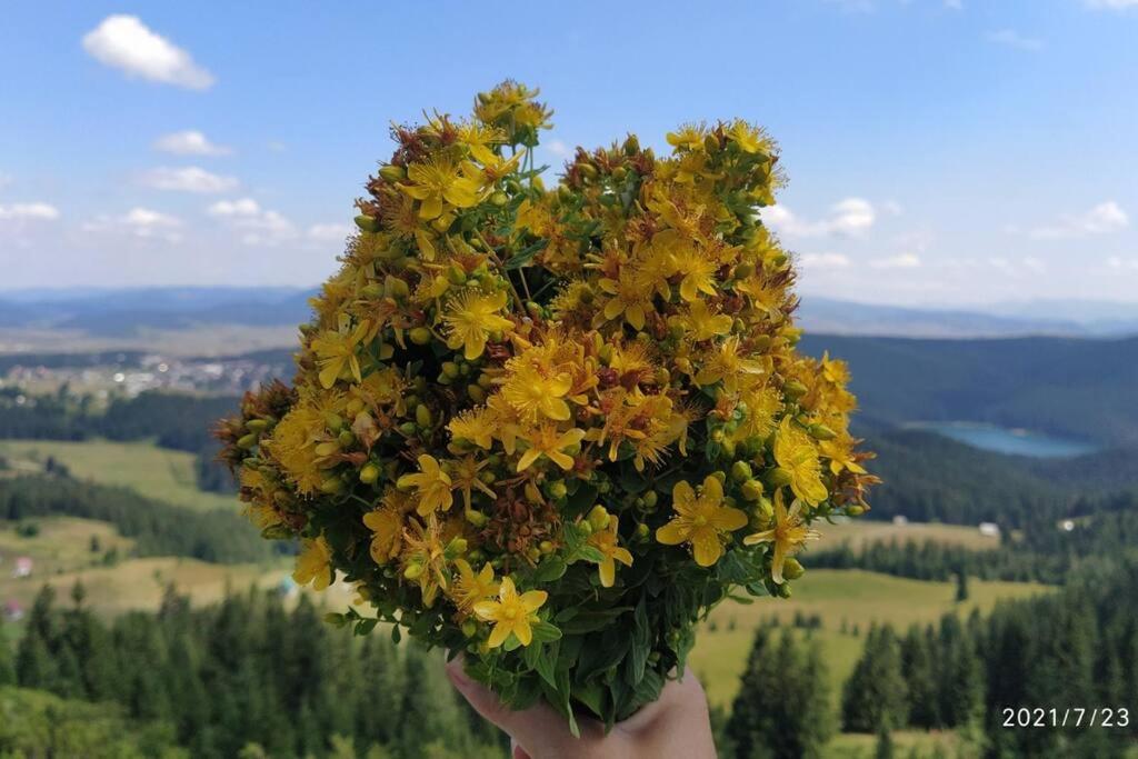 Melanija