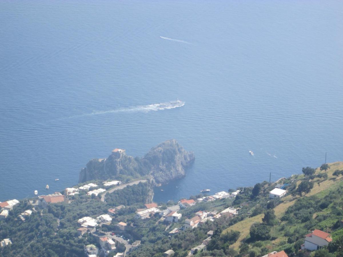 Mira Amalfi