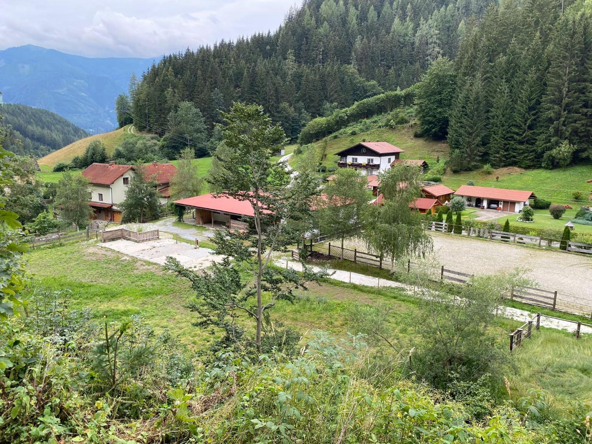 Pferdehof Reitingau