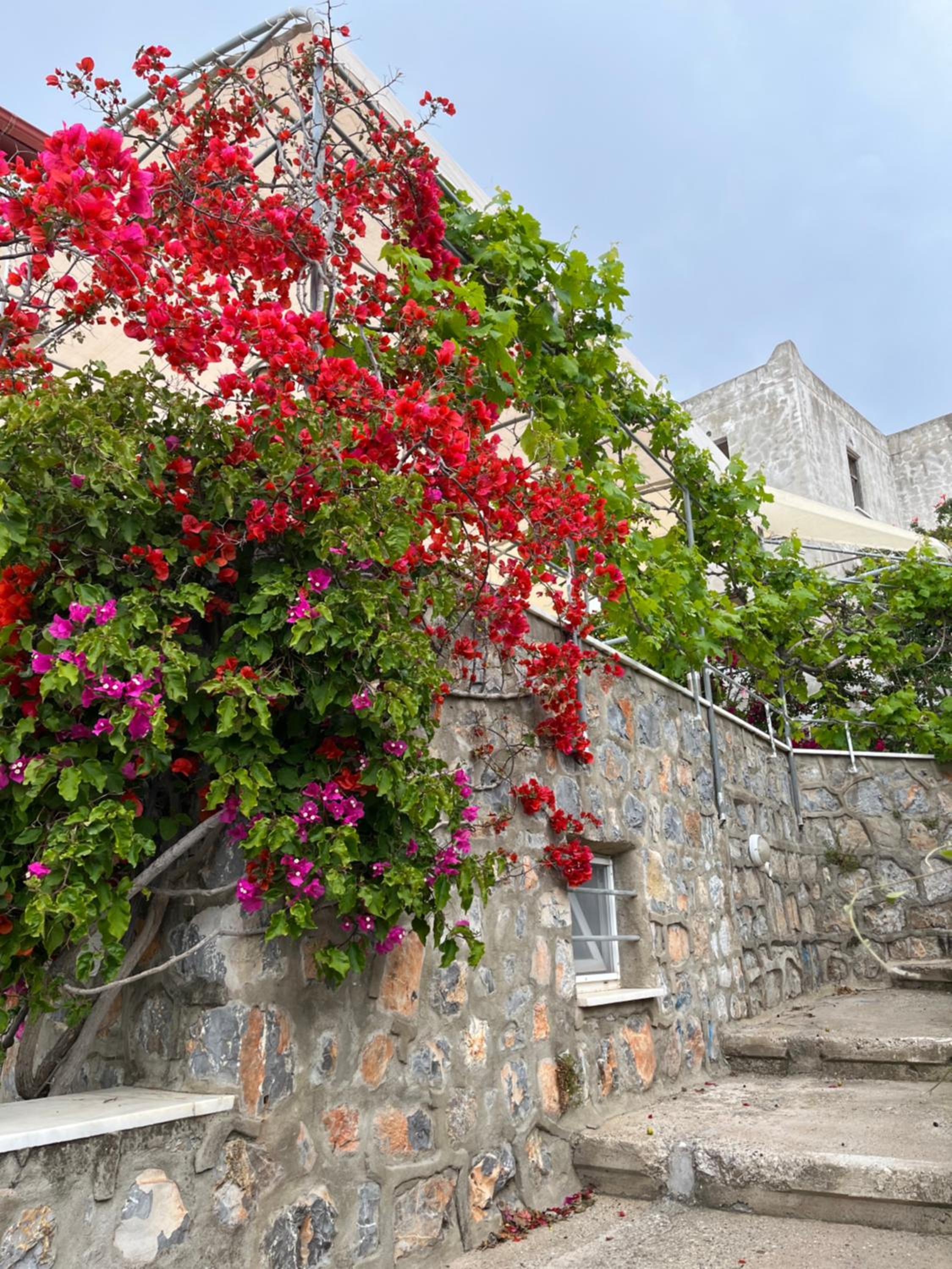 Villa Bella Vista - near the Beach and AirPort