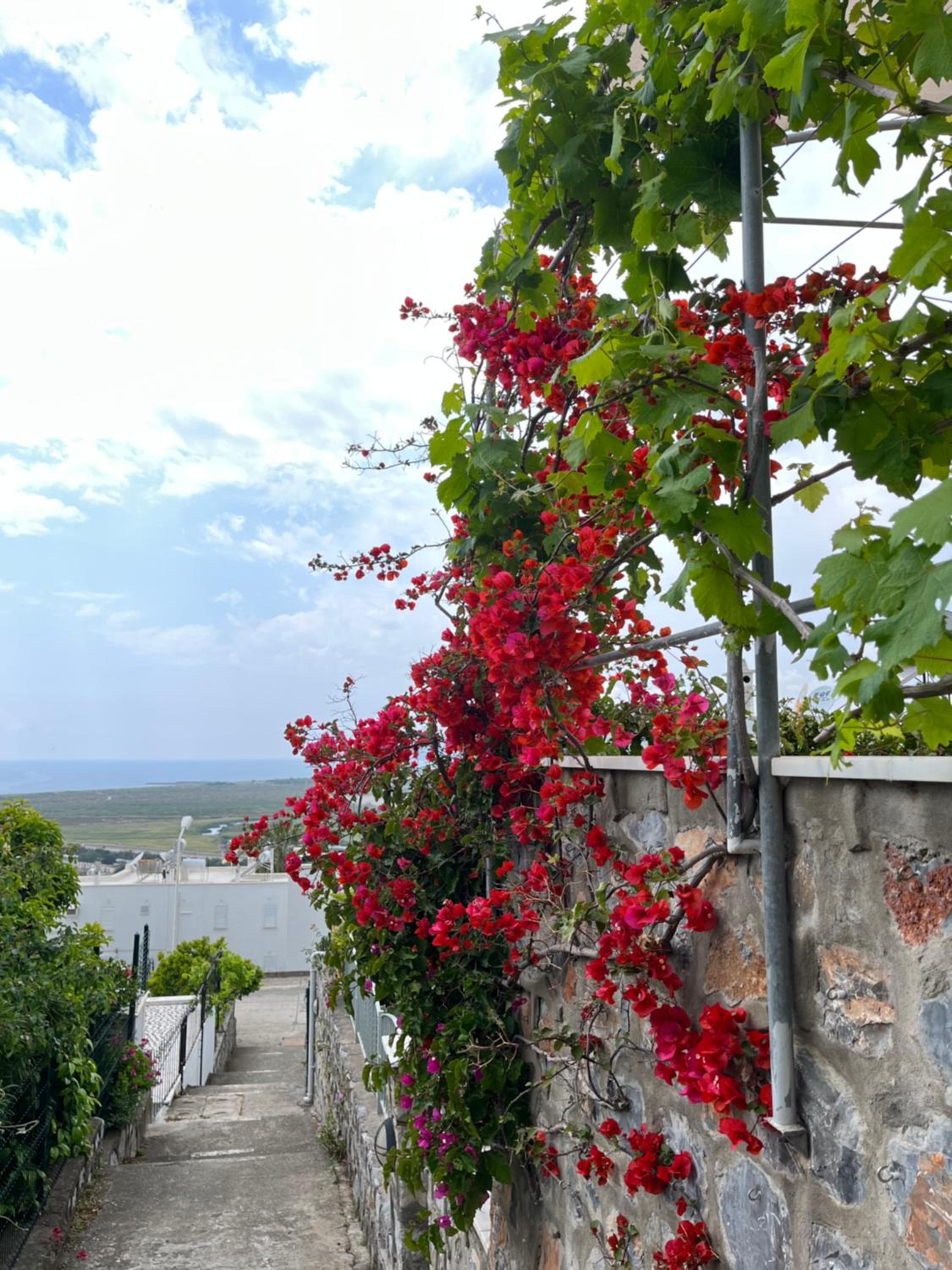 Villa Bella Vista - near the Beach and AirPort