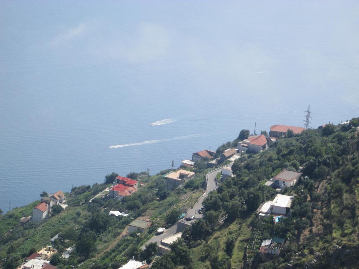 Mira Amalfi