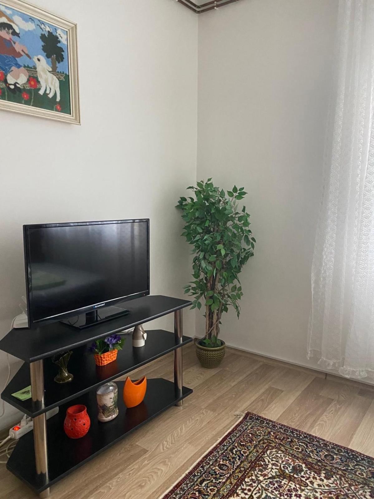 Apartment Dalila