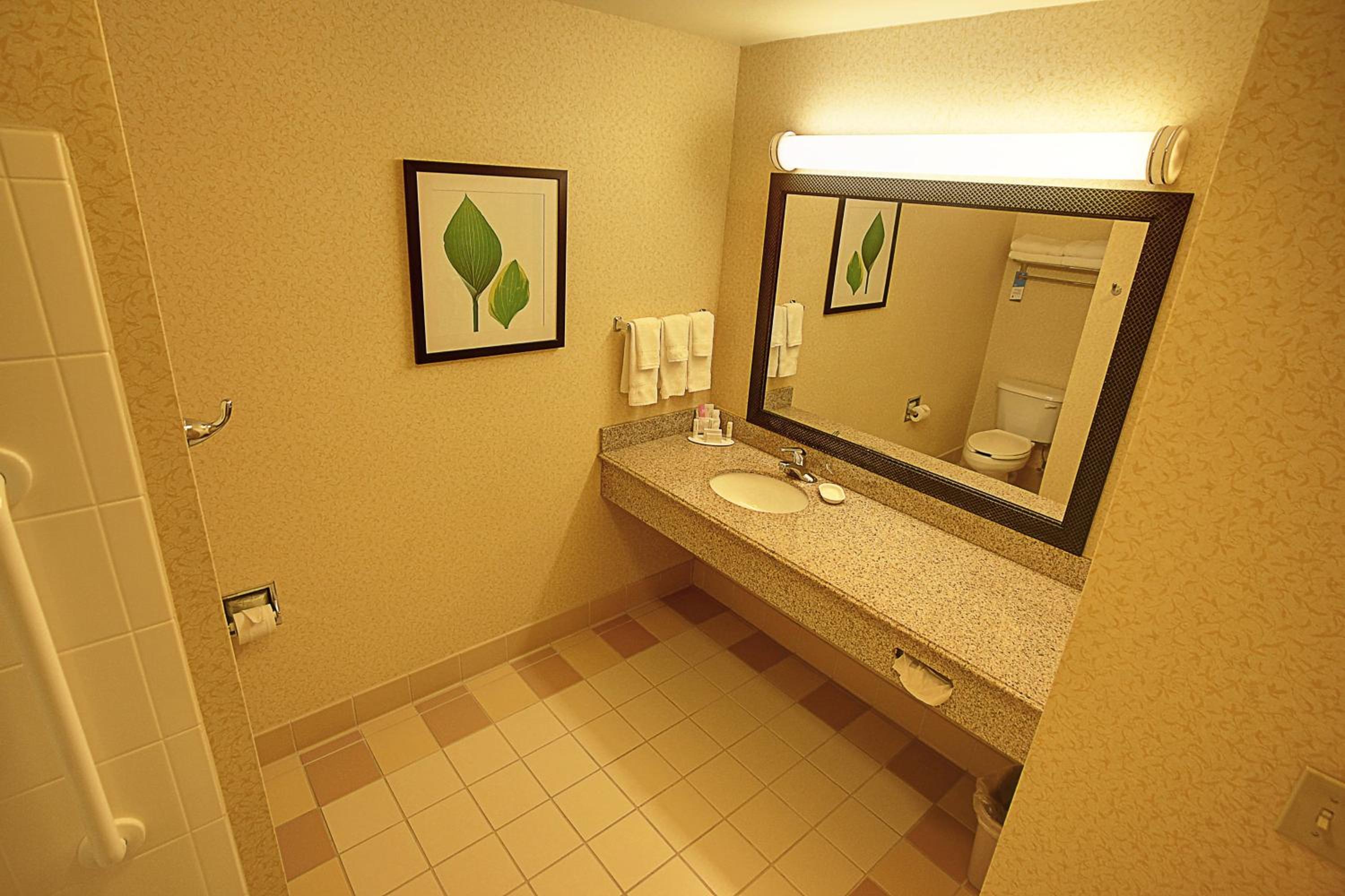 Mount Vernon Vacations - Fairfield Inn Suites Mount Vernon Rend Lake - Property Image 12