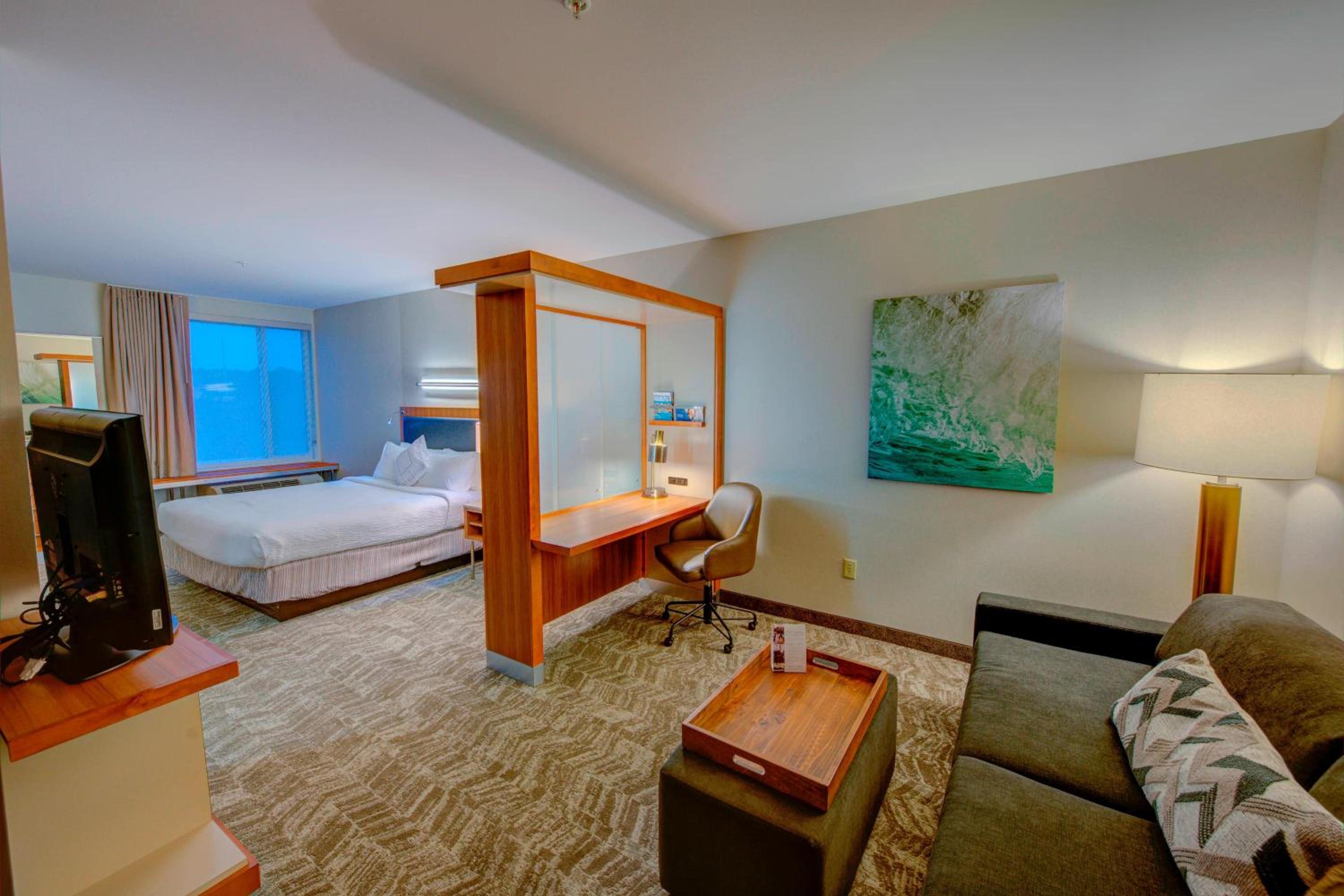 Macon Vacations - SpringHill Suites by Marriott Macon - Property Image 7