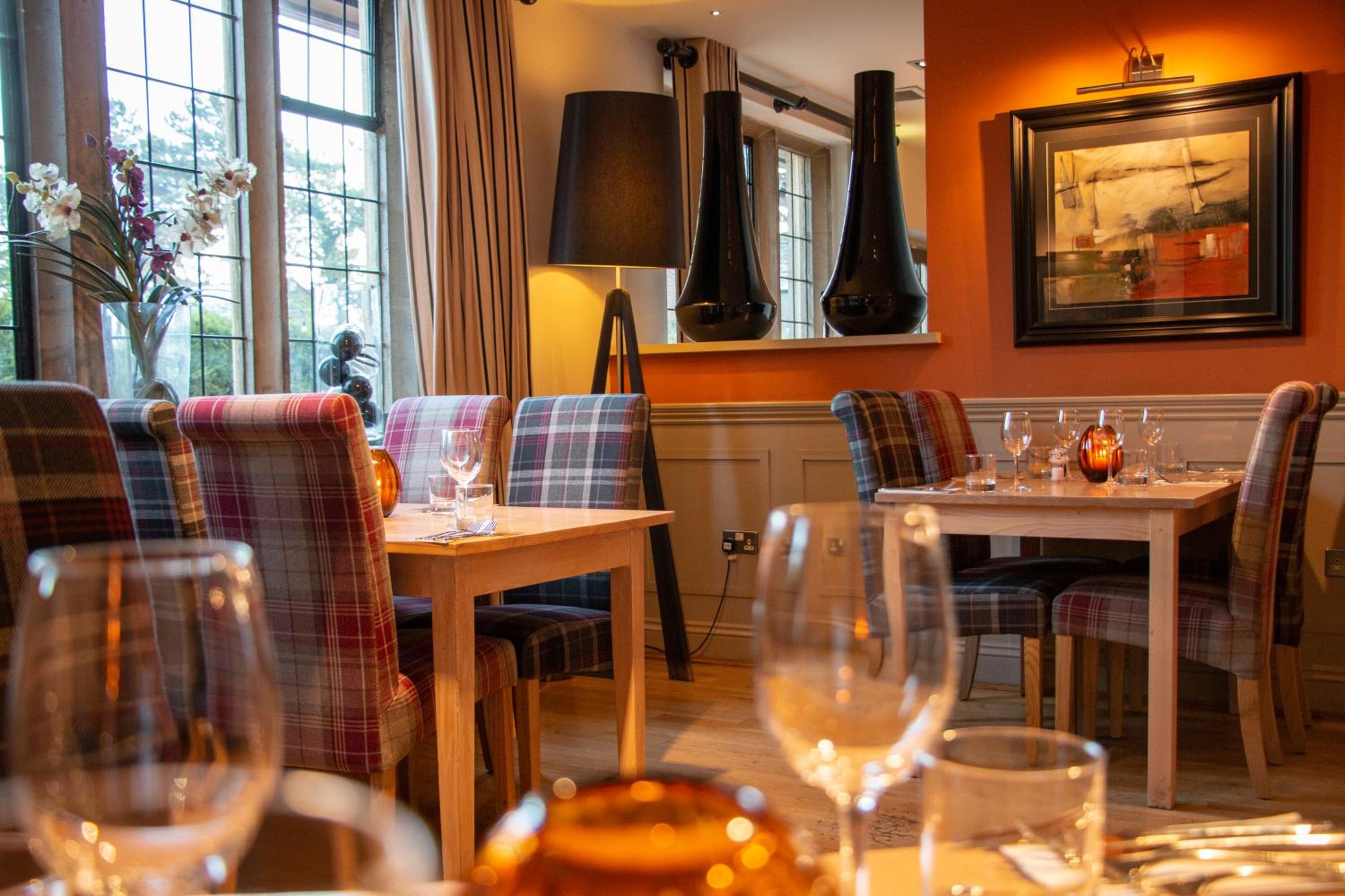 Hopping Hare