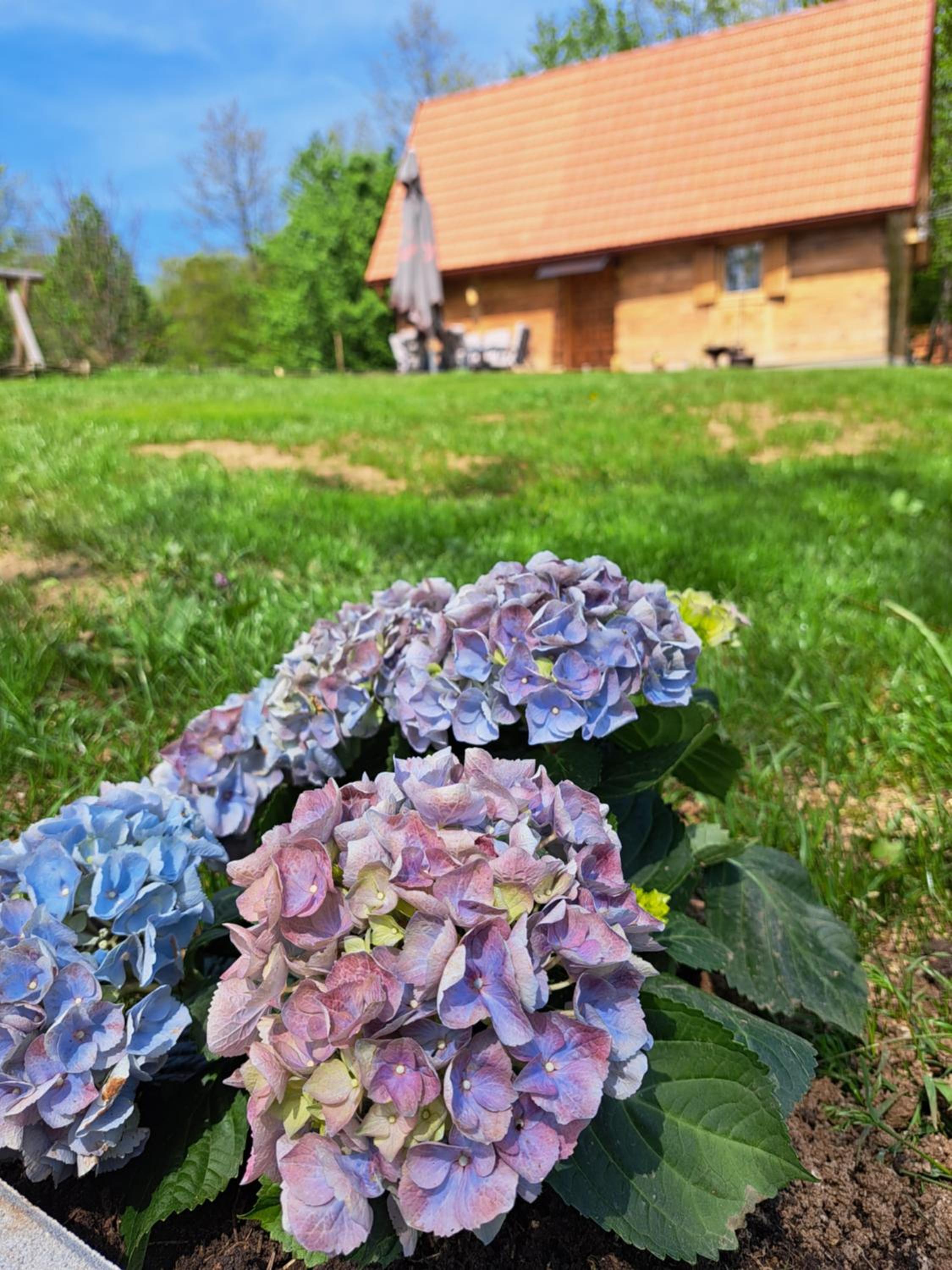 Photo 34