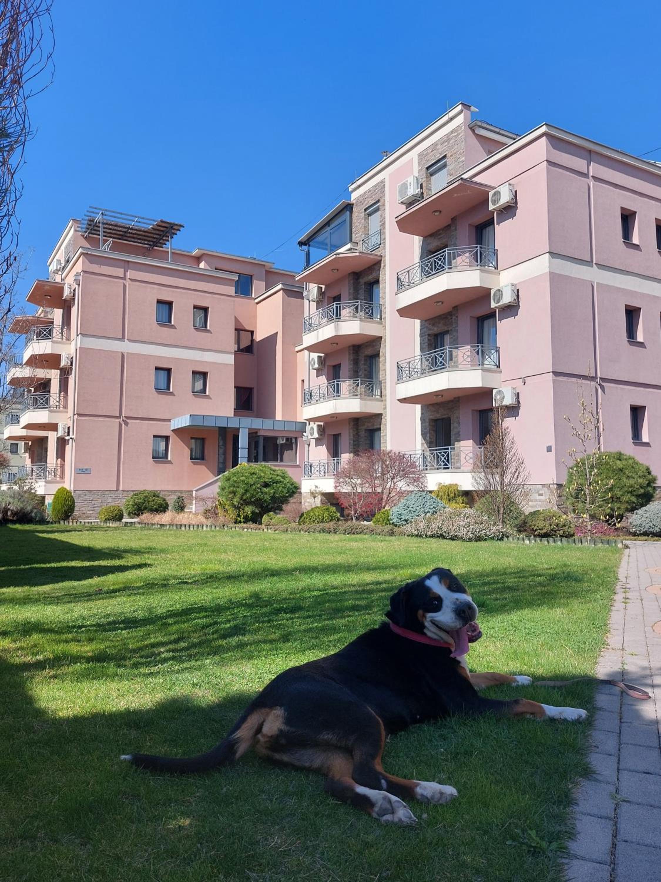 Apartmani Lenka