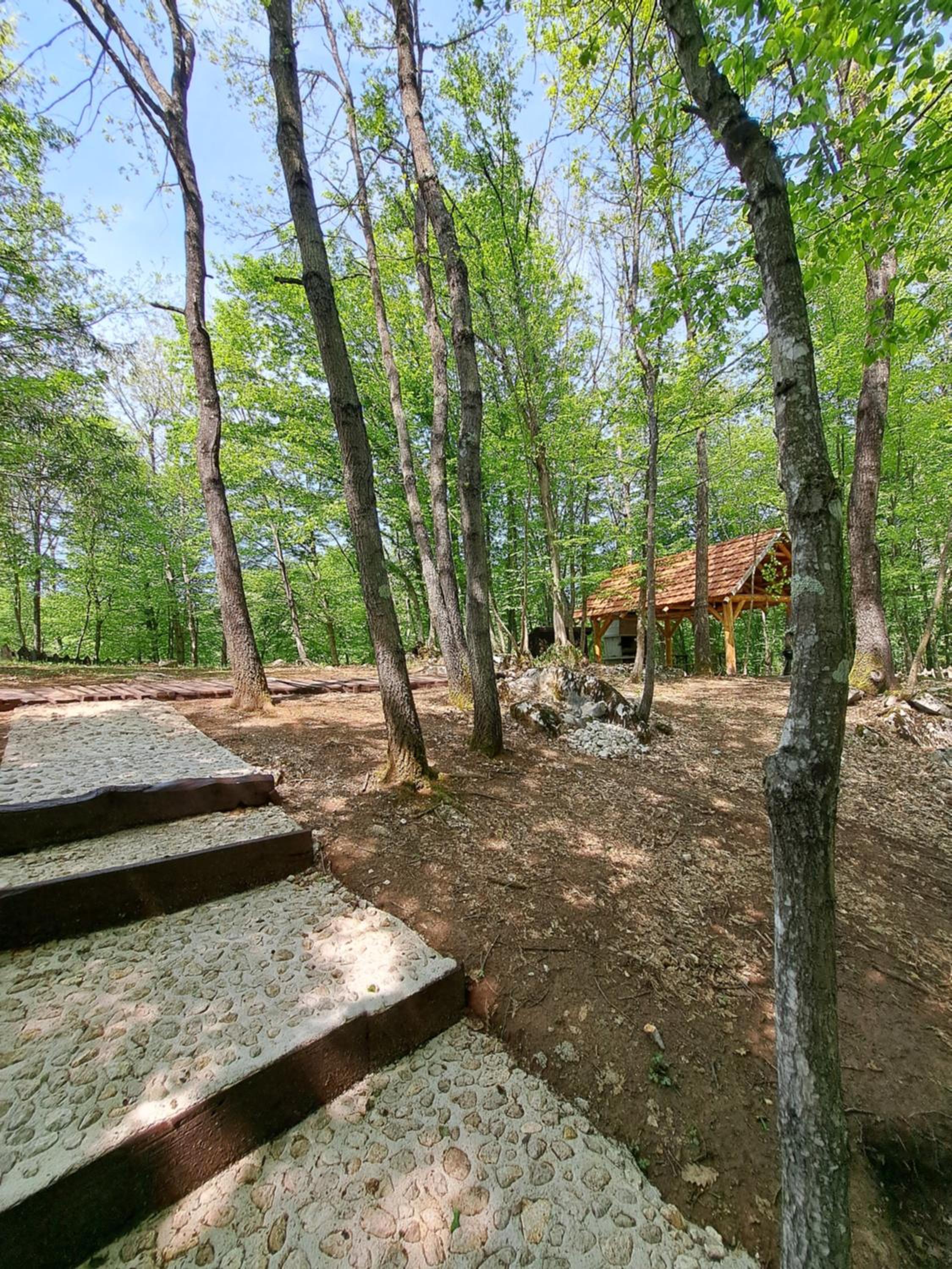 Photo 15