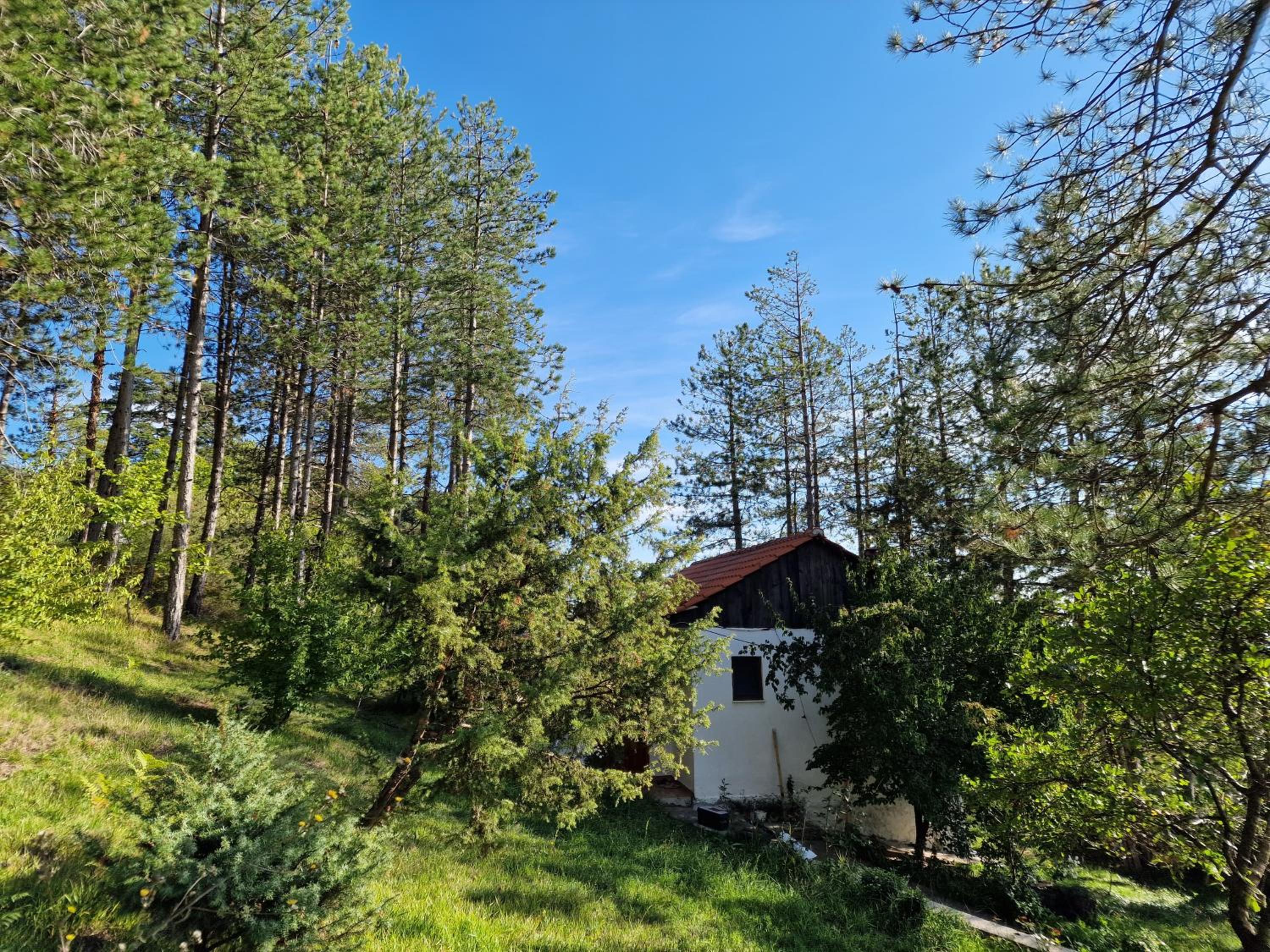 Bujtinat Skenderi Gjinar