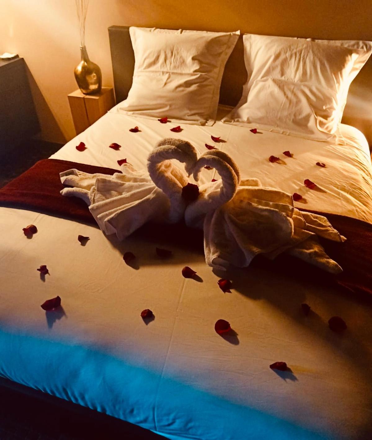 Octavie - Suite de luxe à Tournai avec piscine privée, jacuzzi, sauna et hammam