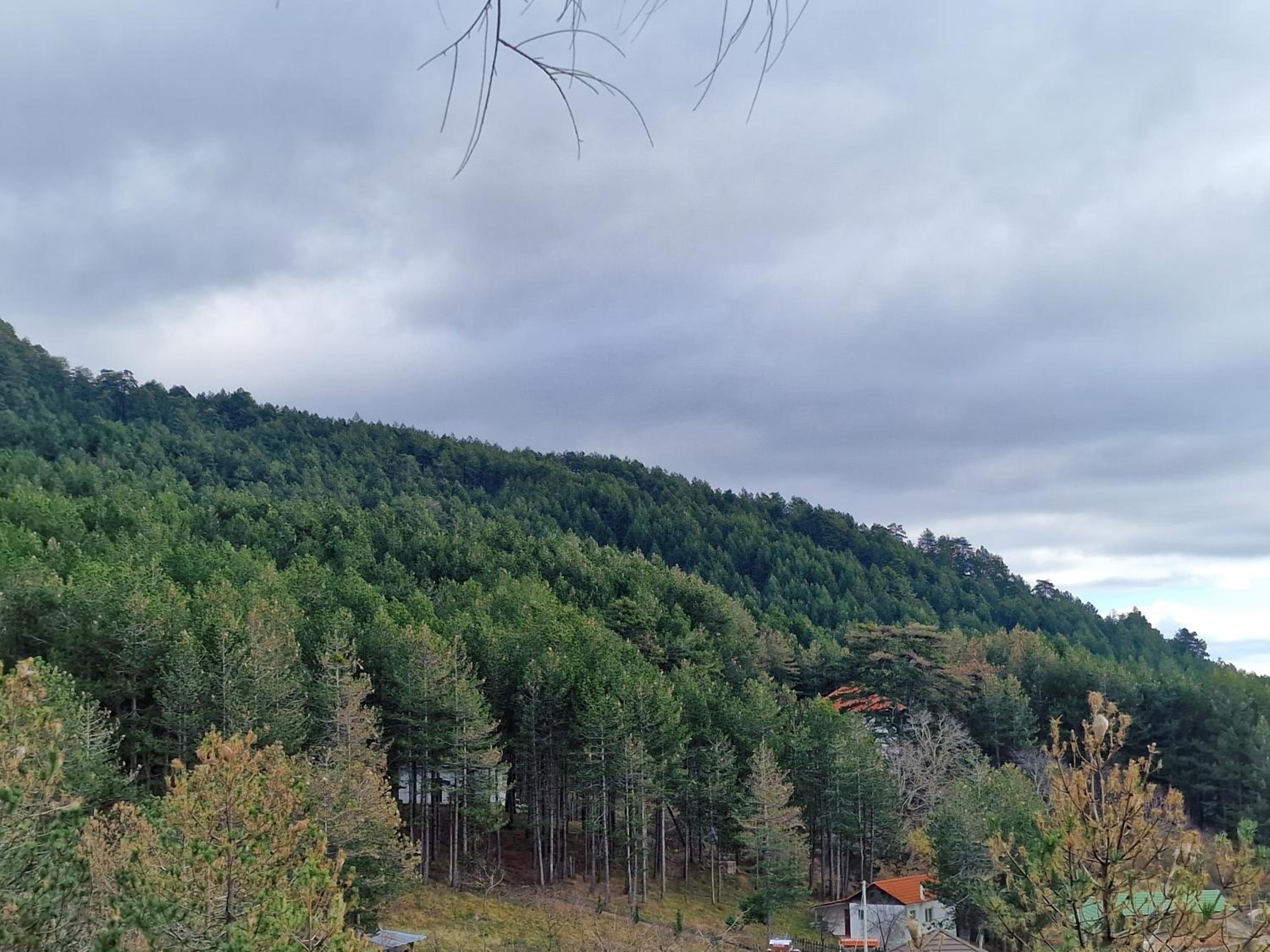 Bujtinat Skenderi Gjinar