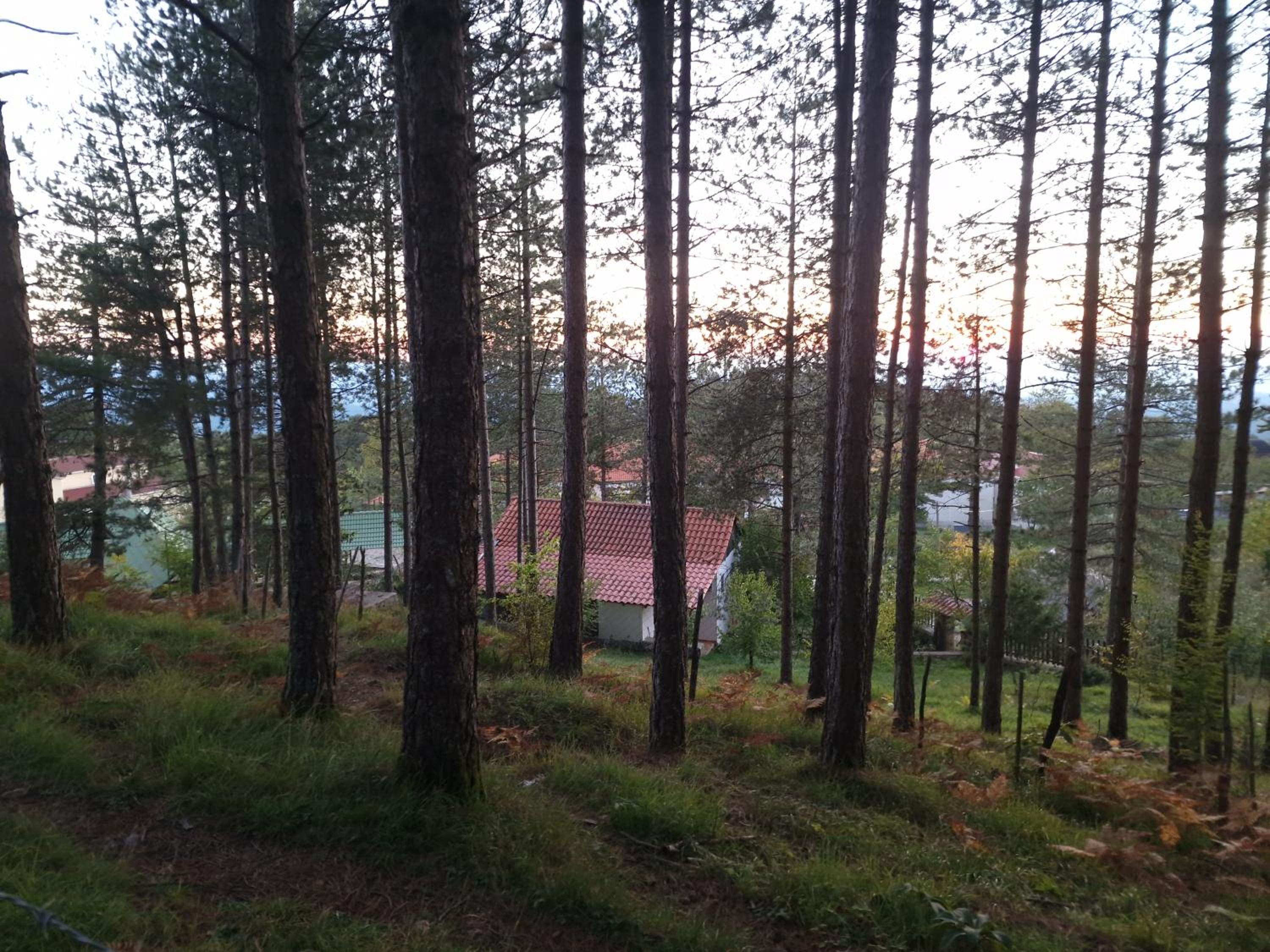 Bujtinat Skenderi Gjinar