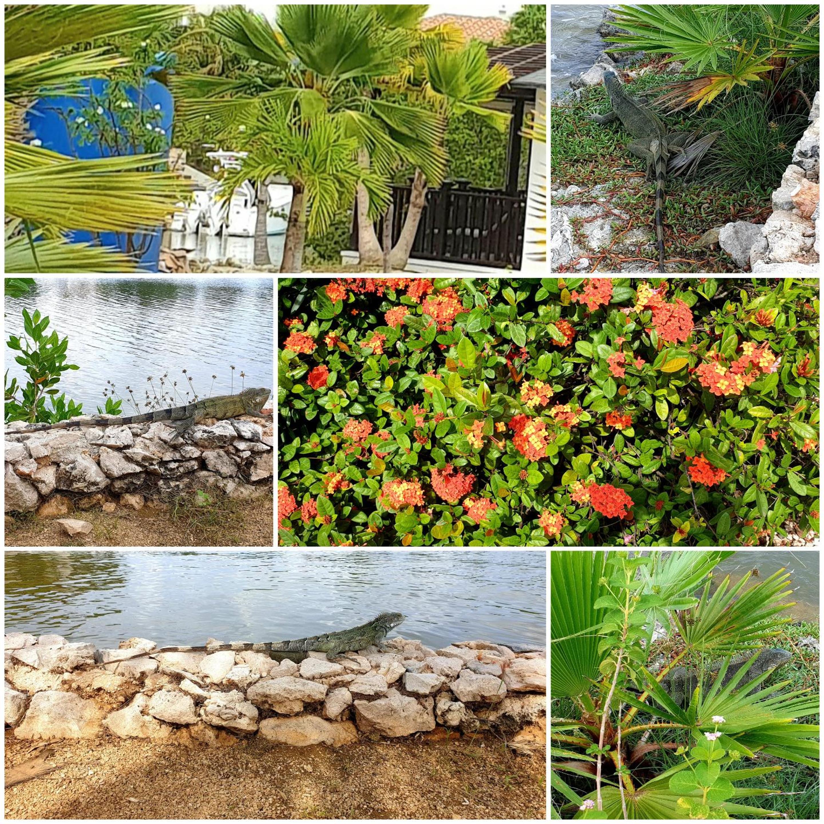 Kas PrimaVerA in Waterlands Village