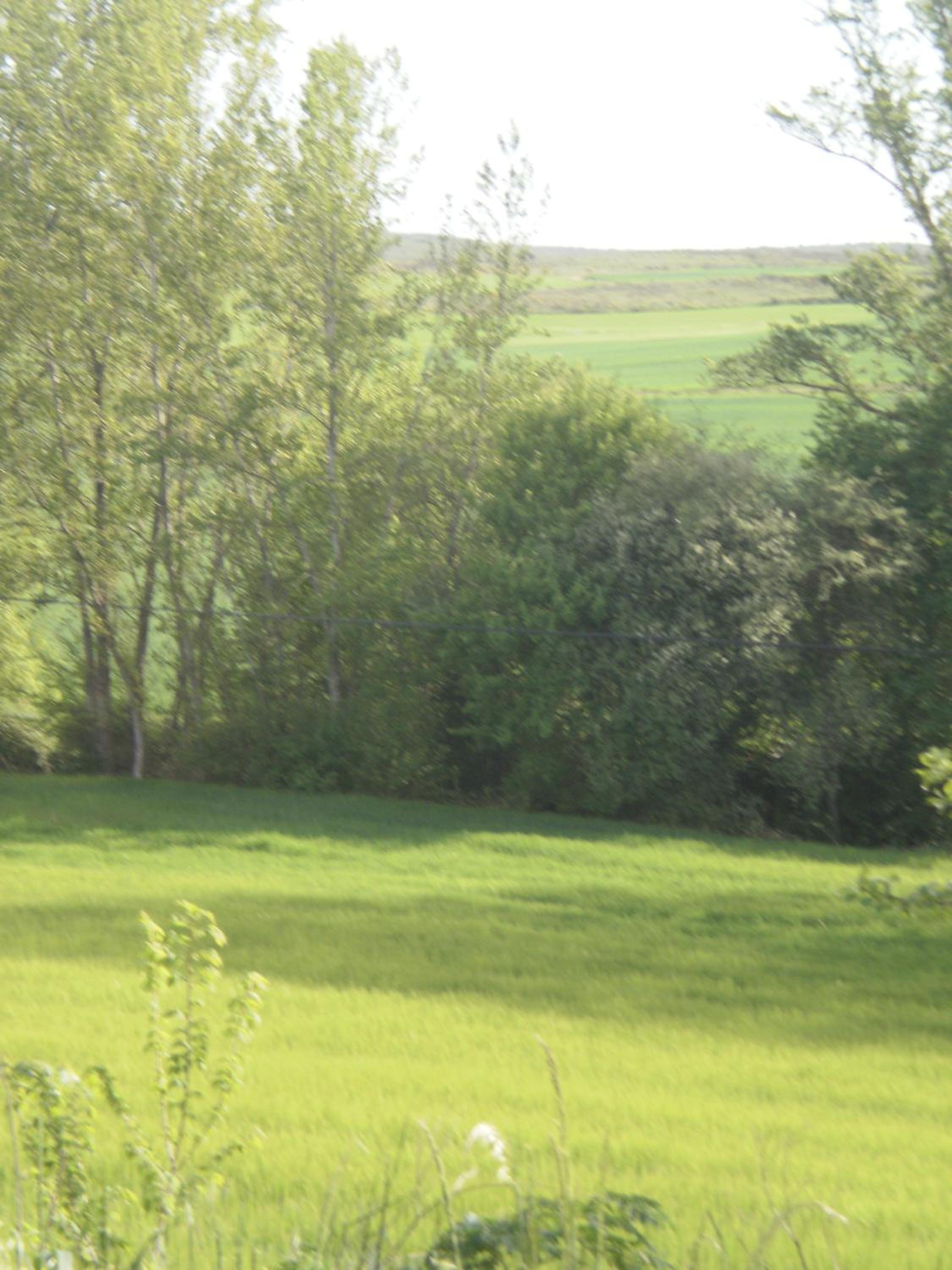 La Cabaña
