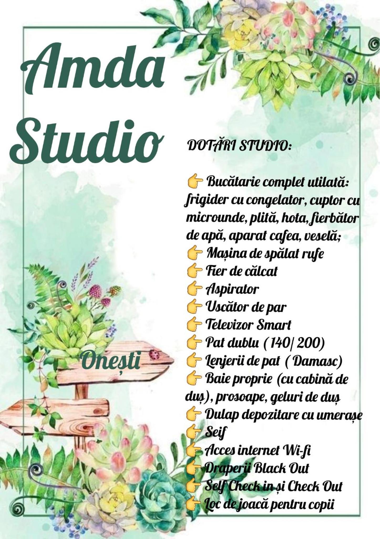 Amda Studio view 5