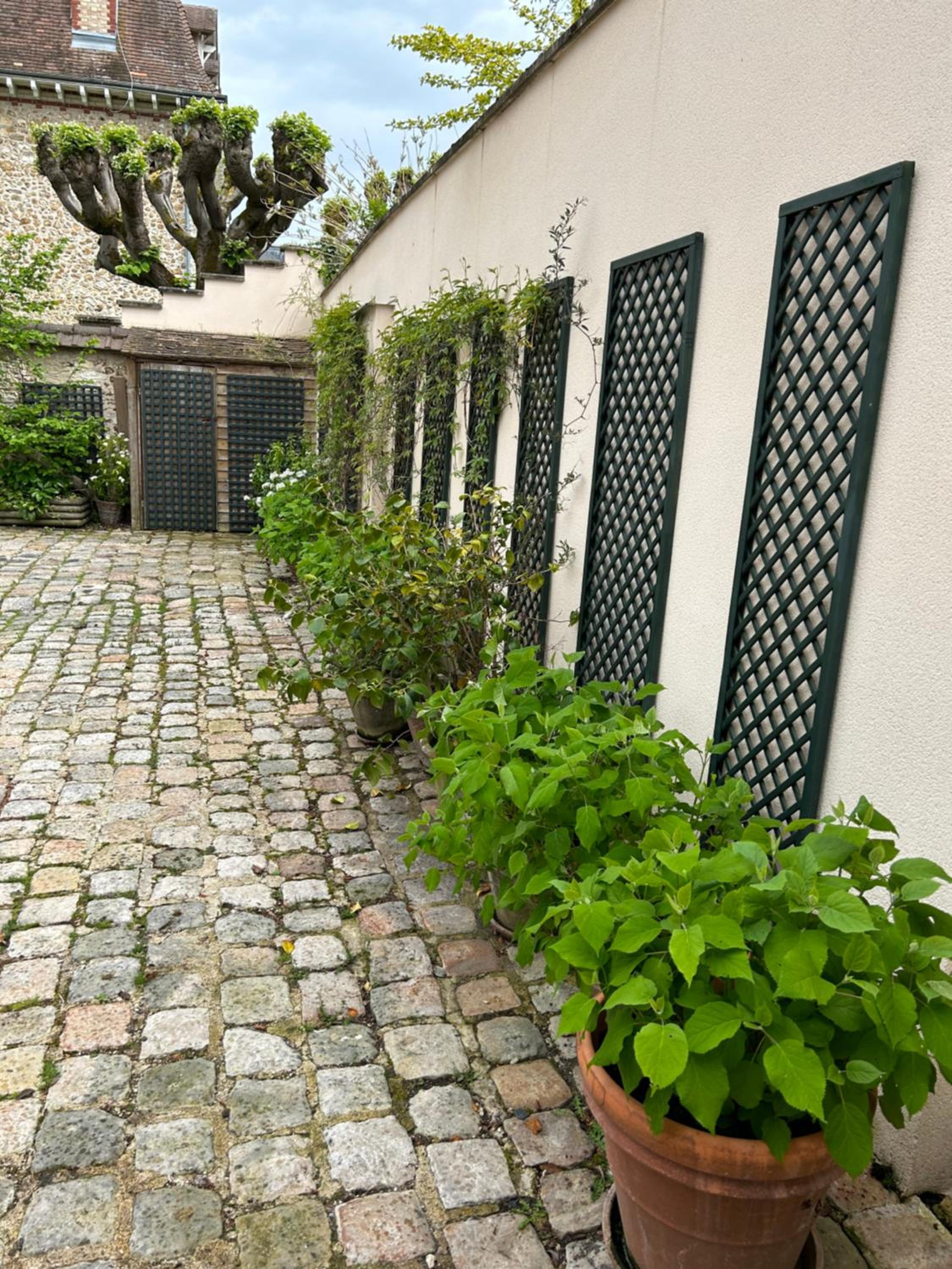Photo 31