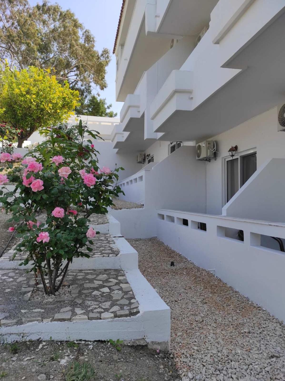 Hotel Arocaria Apartment in Faliraki with garden , mountain and sea view - Image 1
