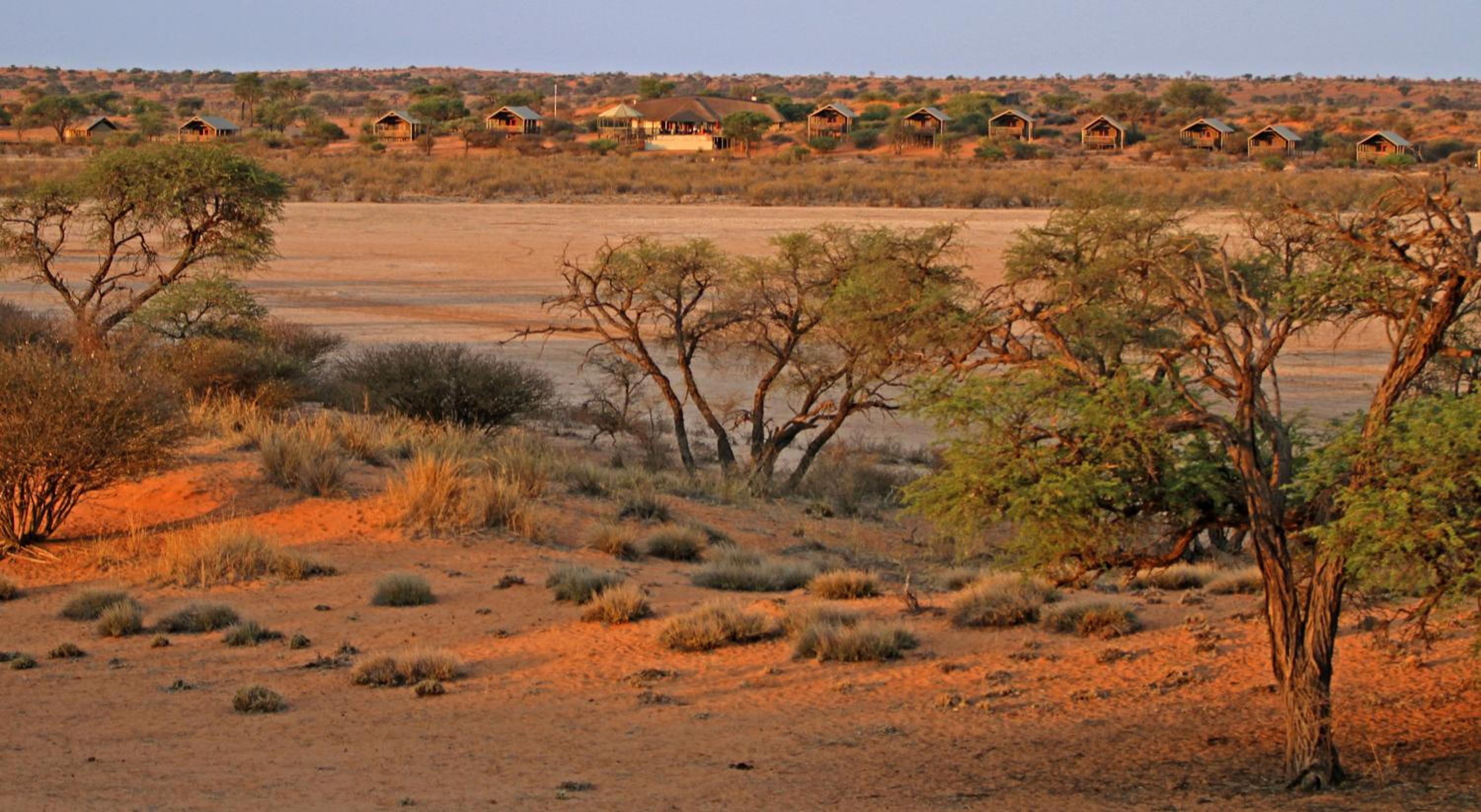 Suricate Tented Kalahari Lodge