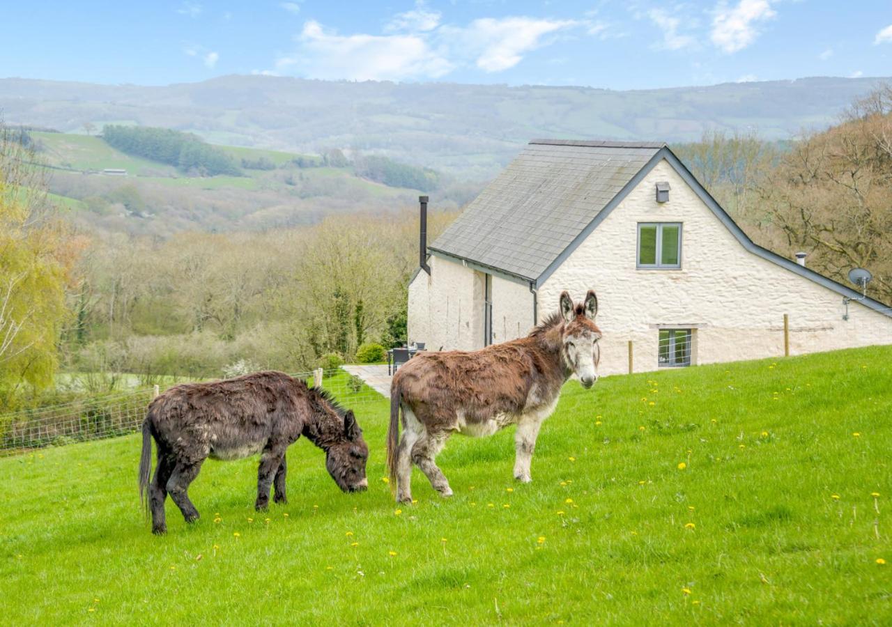 USK Barn view 4