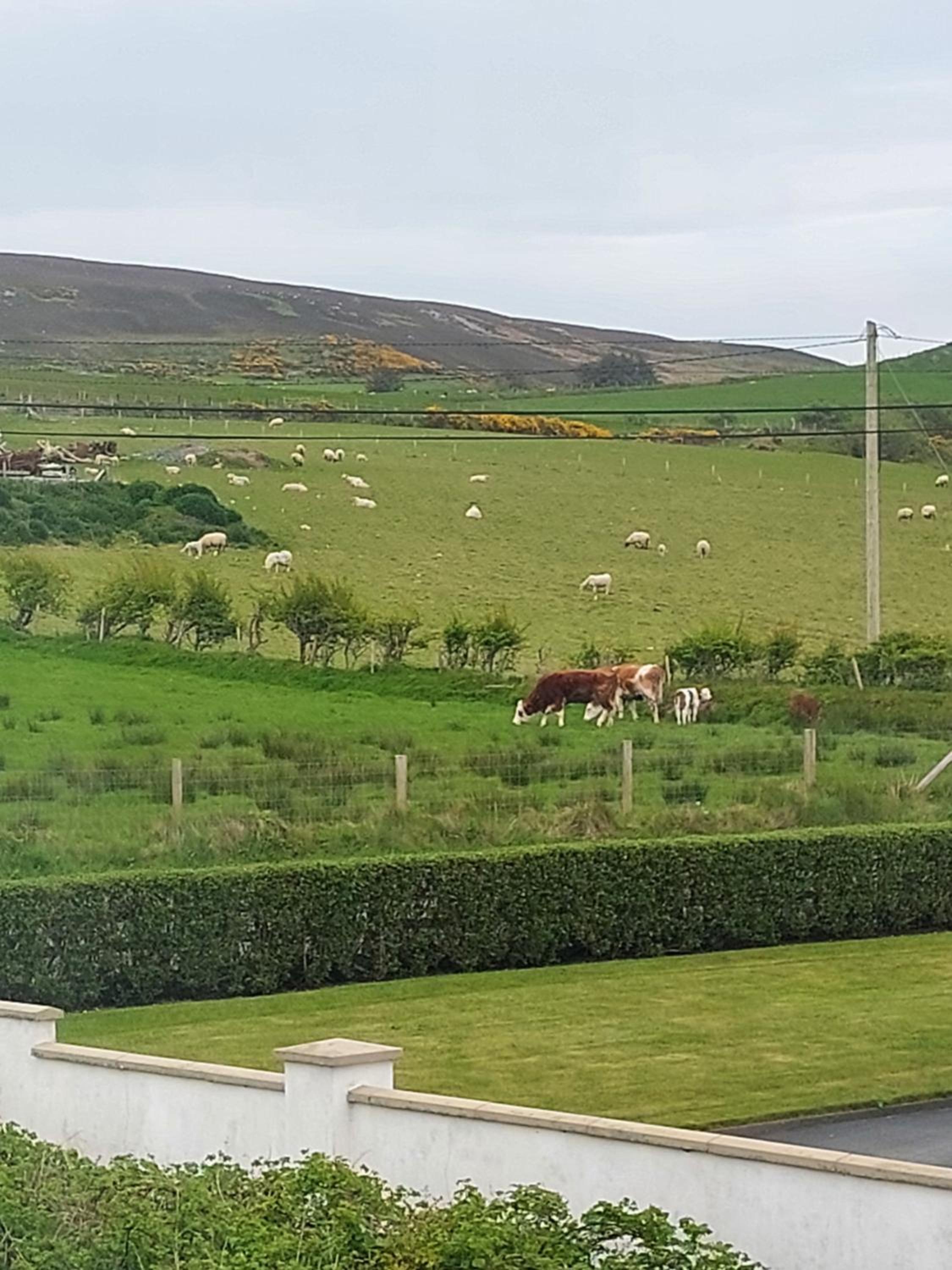 Bree House Malin Head view 5