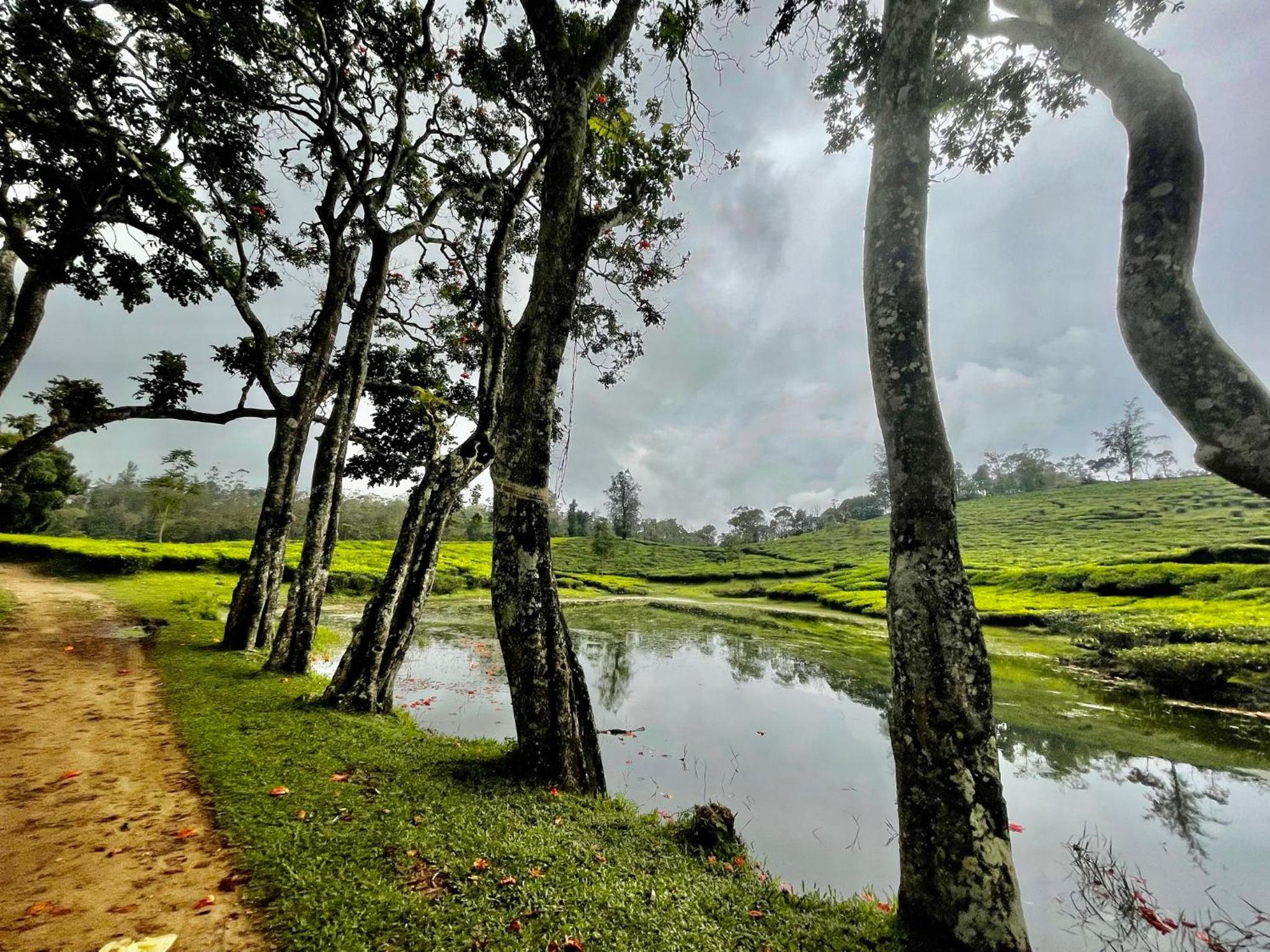Jacob’s Heaven- Bed & Breakfast @ Kuttikannam view 4