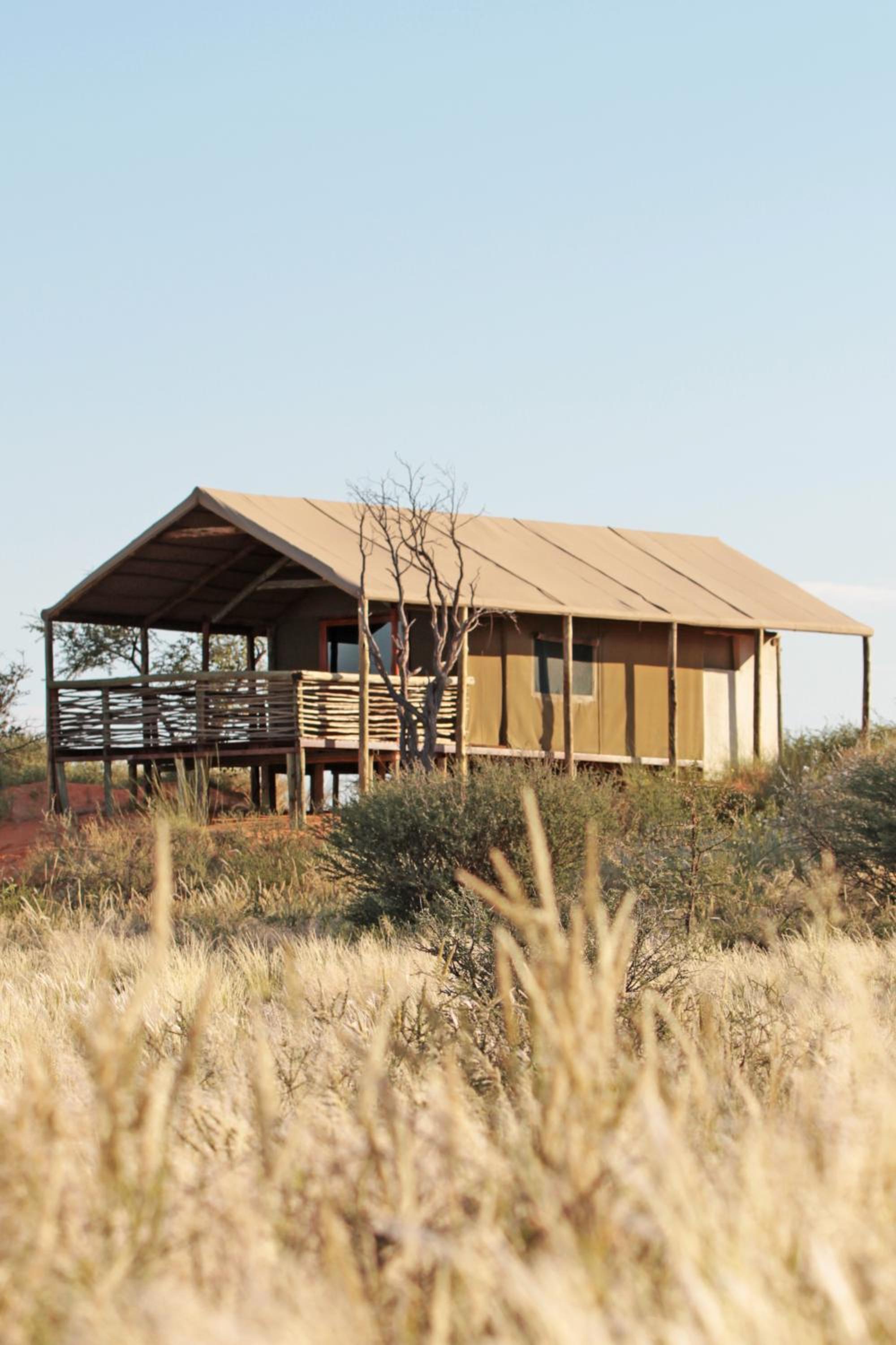 Suricate Tented Kalahari Lodge