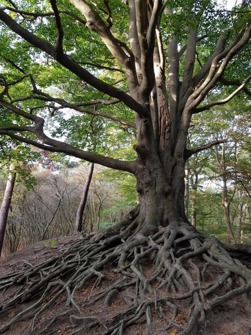 Vintage Relax Chalet met fijne hottub - Property Image 4