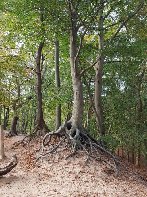 Vintage Relax Chalet met fijne hottub - Property Image 6