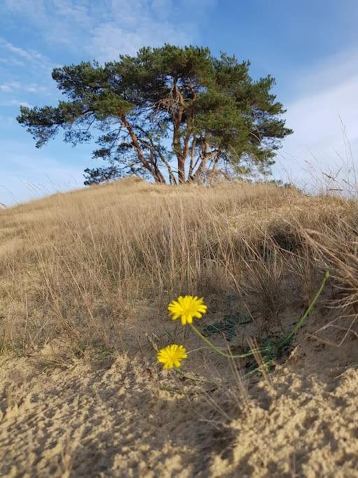 Vintage Relax Chalet met fijne hottub - Property Image 5