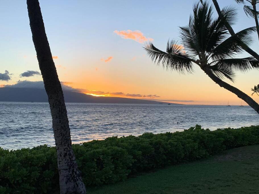 2B/2B Gorgeous Sunsets-Ocean View -Pool
