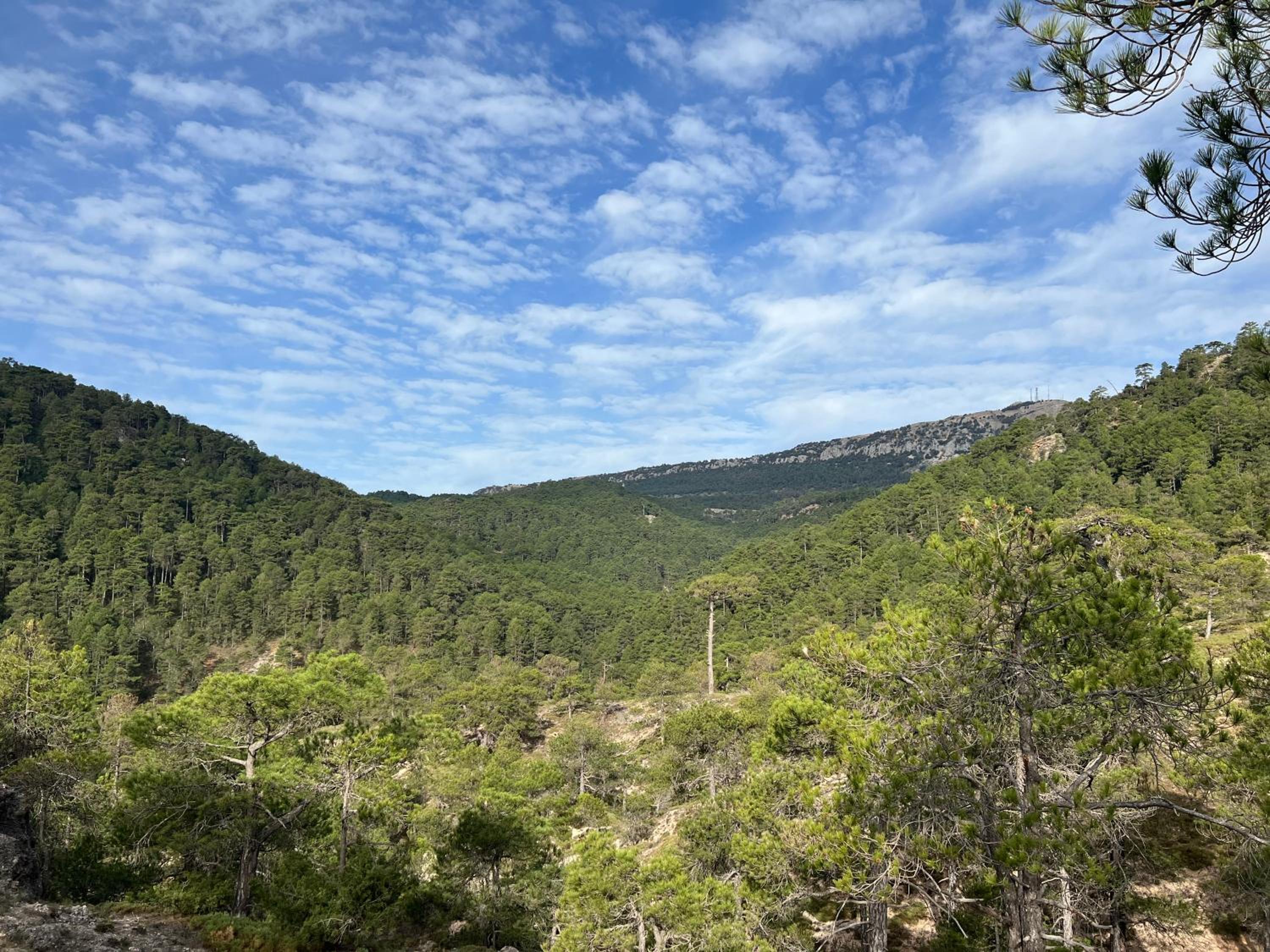 Dúplex Río Madera