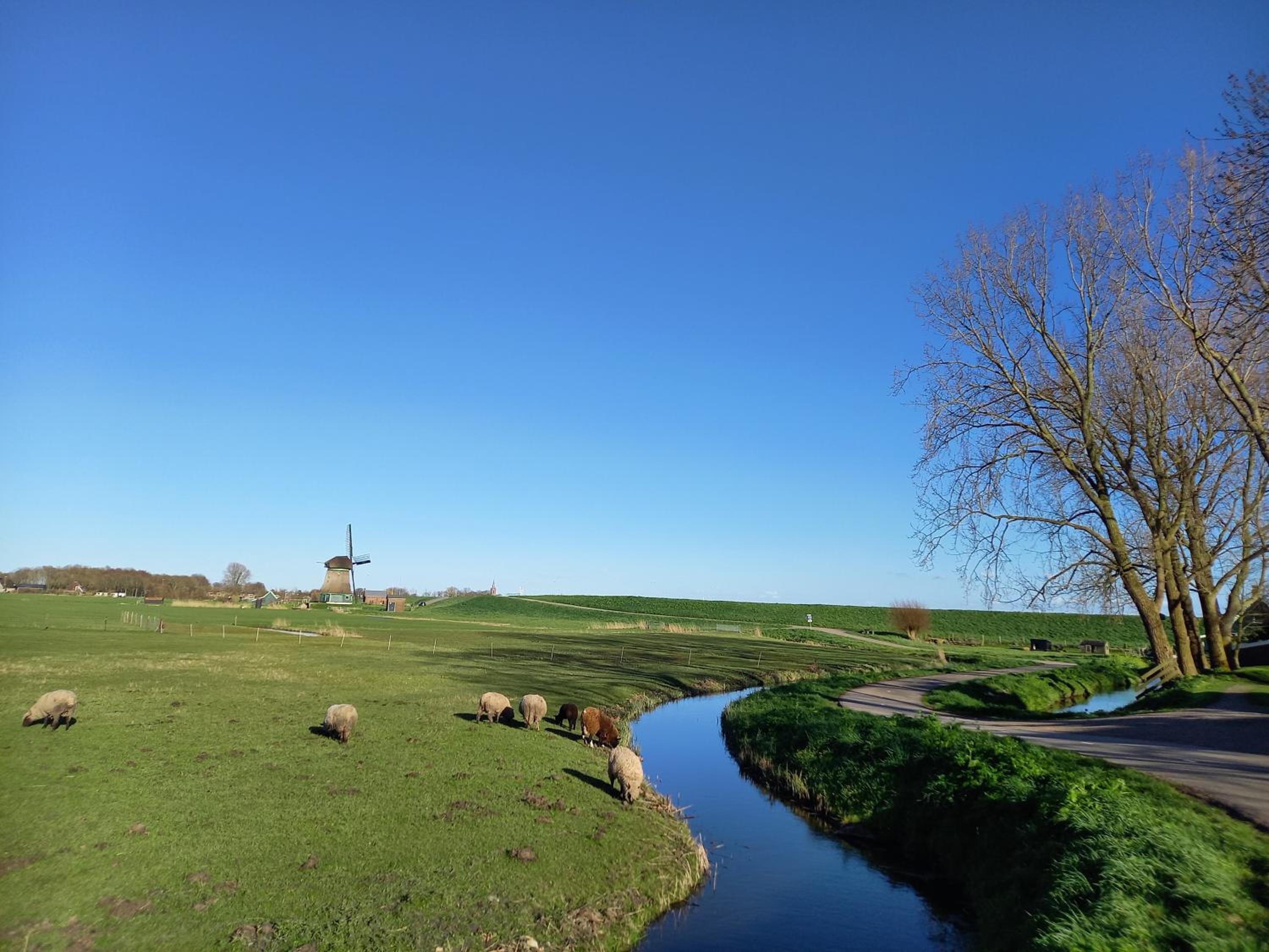 Uniek vakantiehuis - nabij molen, meer, strand & stad' view 4