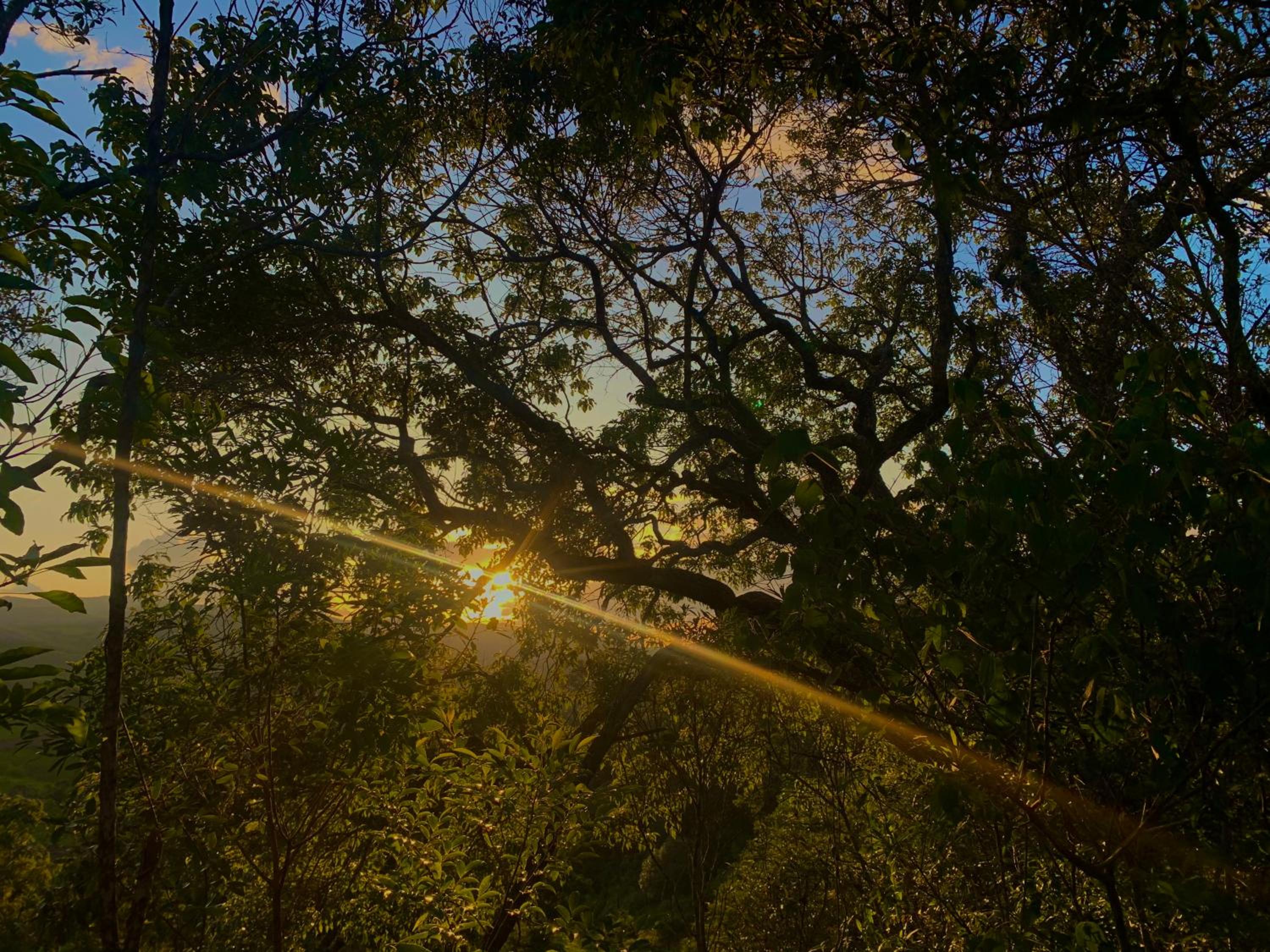 Candeias / Reserva Alto da Colina