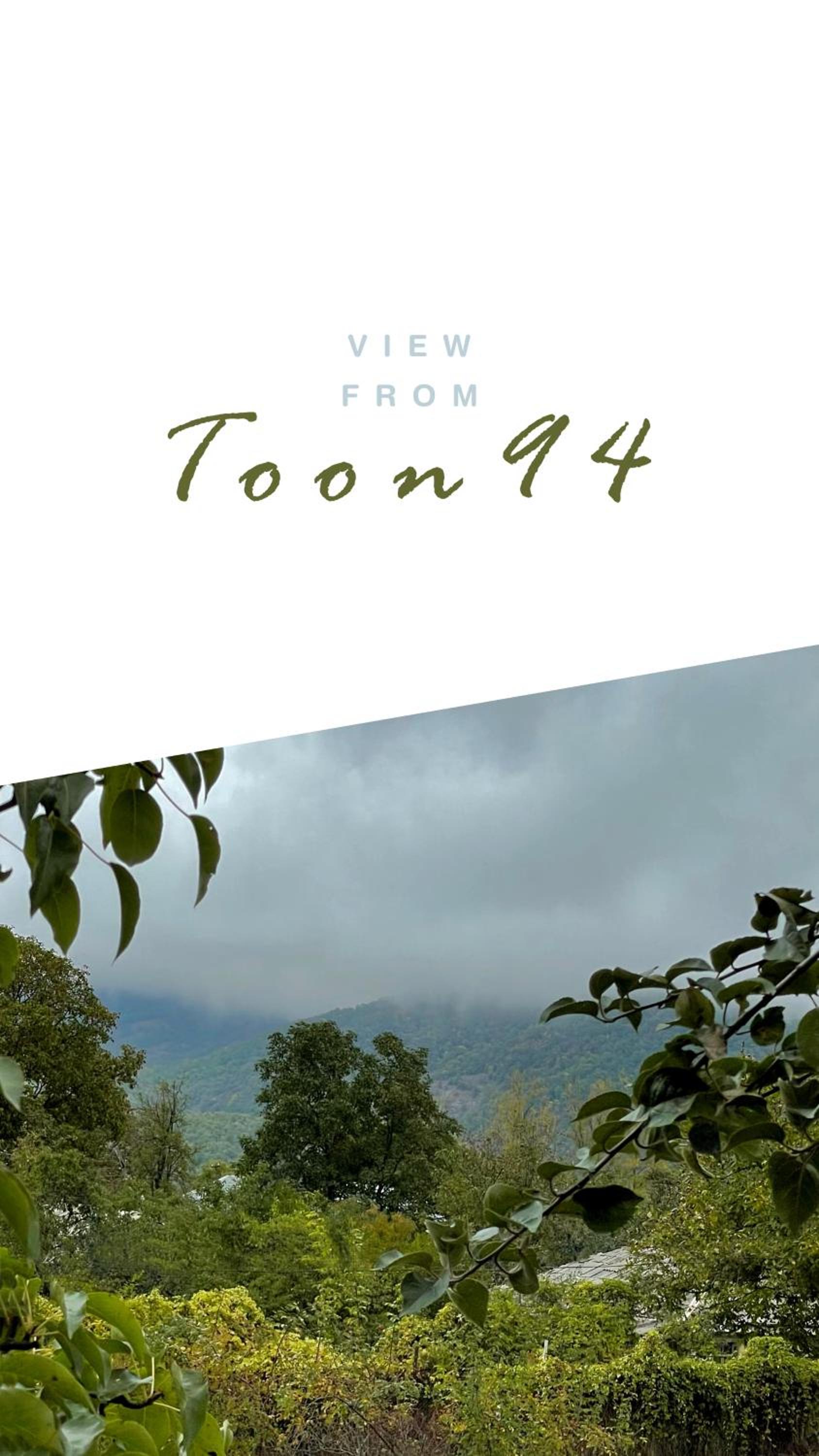 TOON 94