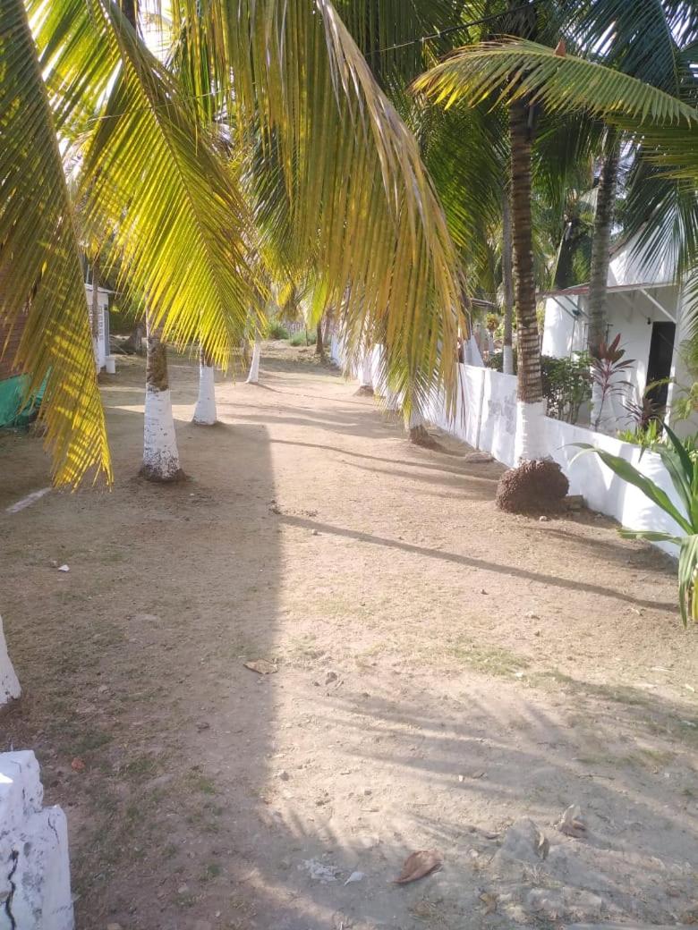 Casa de las Dos Palmas, Coveñas