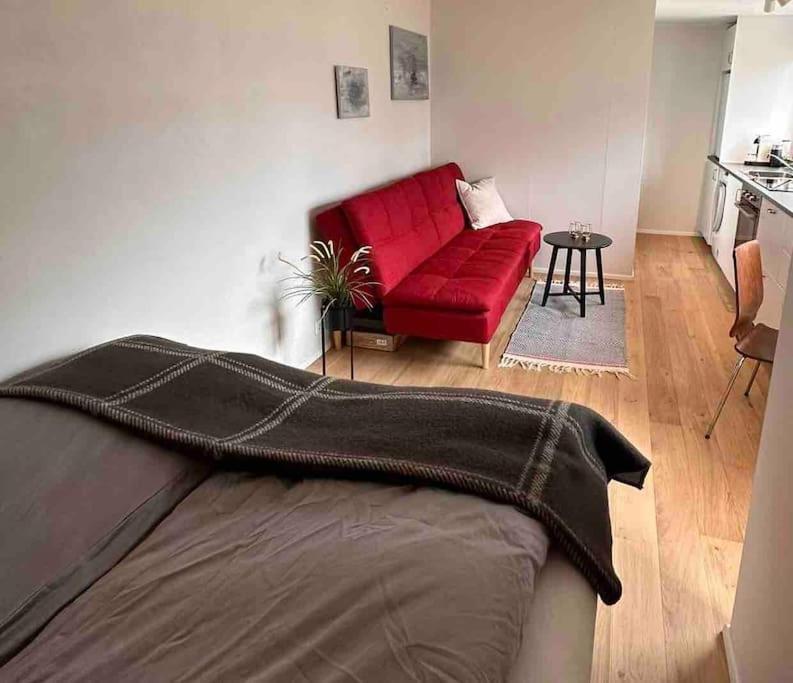 Studio Apartment Reykjavik City Center view 4