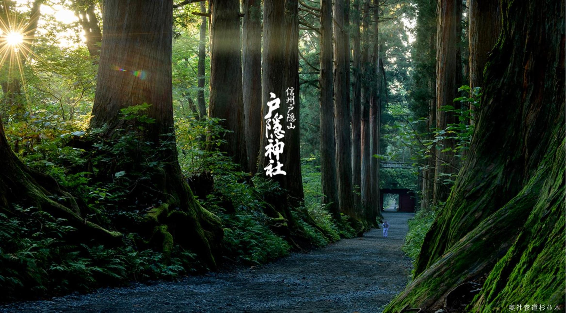 戸隠の自然に佇む 小さな一棟貸しコテージ Private Tiny Cottage in the Nature of Togakushi Breath in Earth view 2