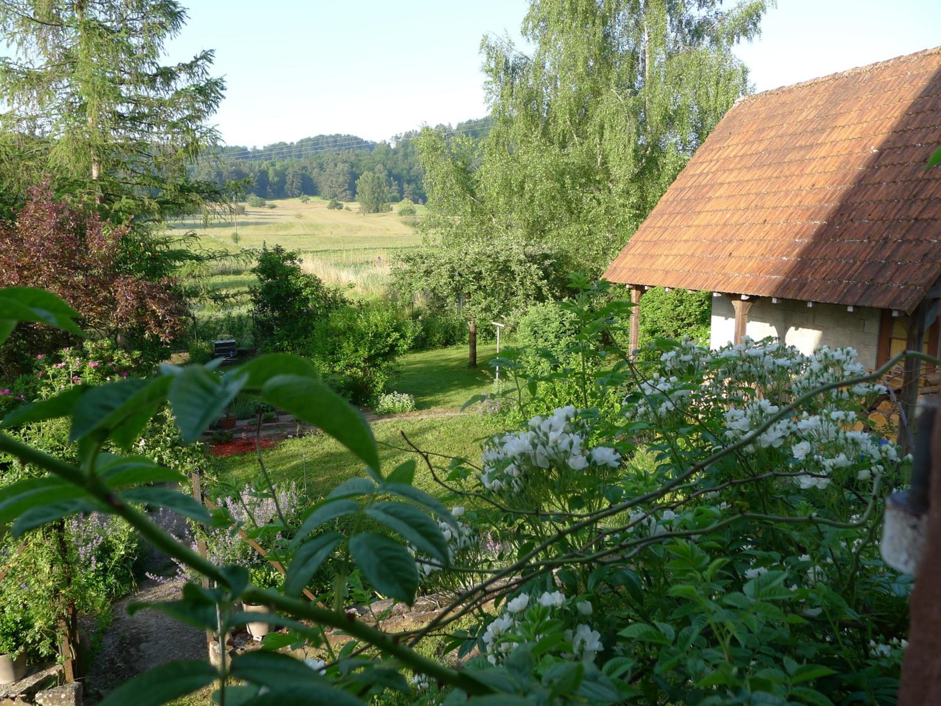 Photo 23
