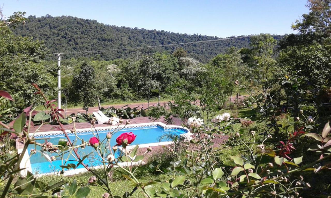 Aires del Monte