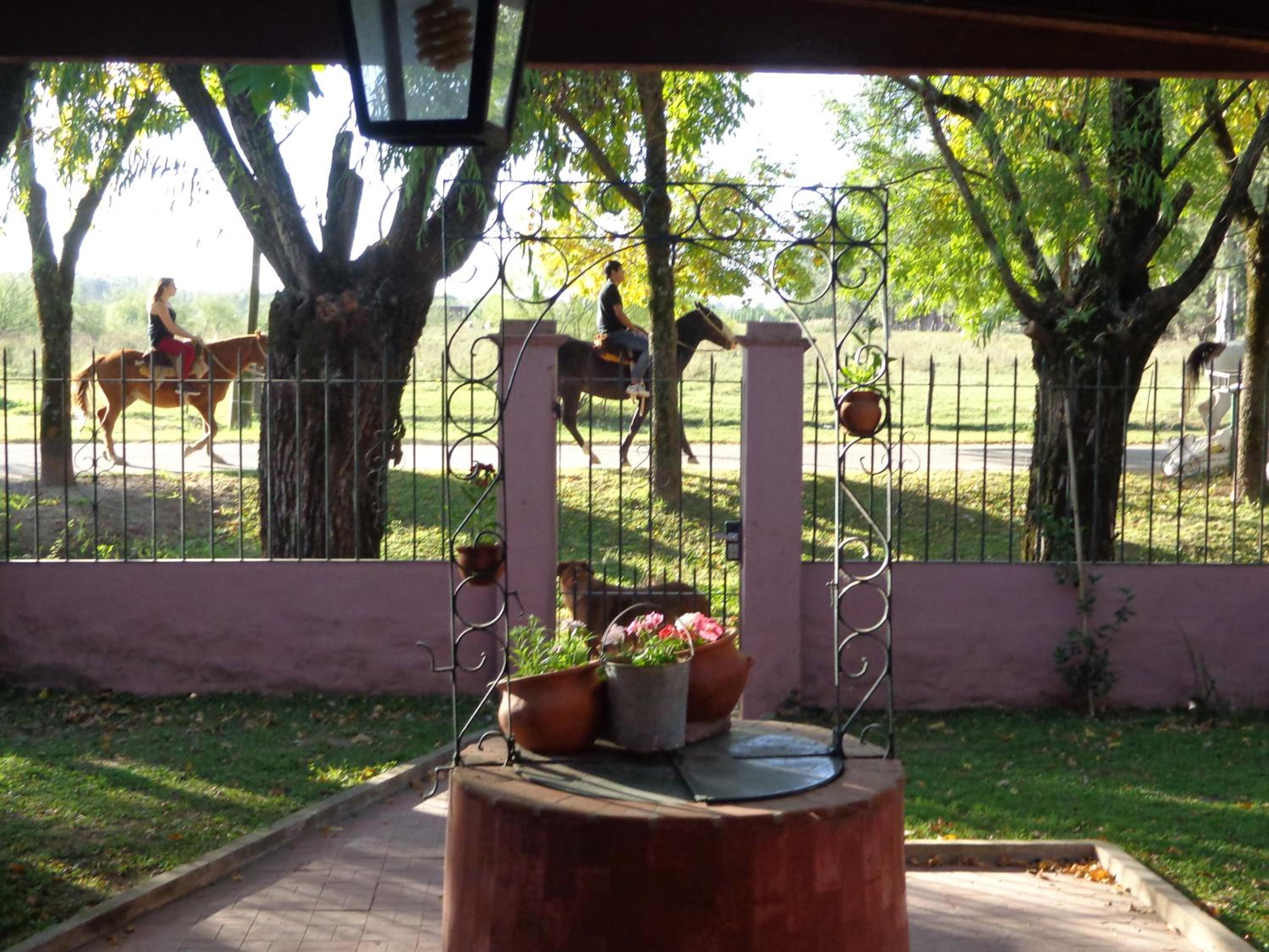 Posada Don Salvador