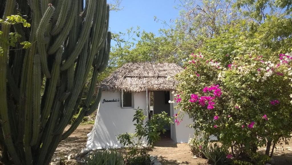 Villa Dushi Arembos, 6 persons, private pool, comfortable car, tropical garden
