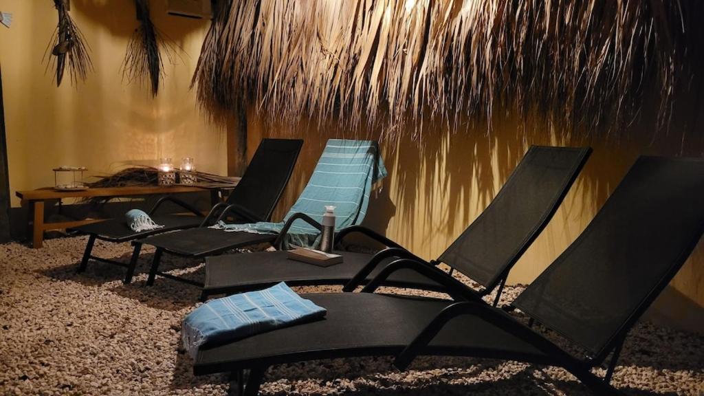Villa Dushi Arembos, 6 persons, private pool, comfortable car, tropical garden