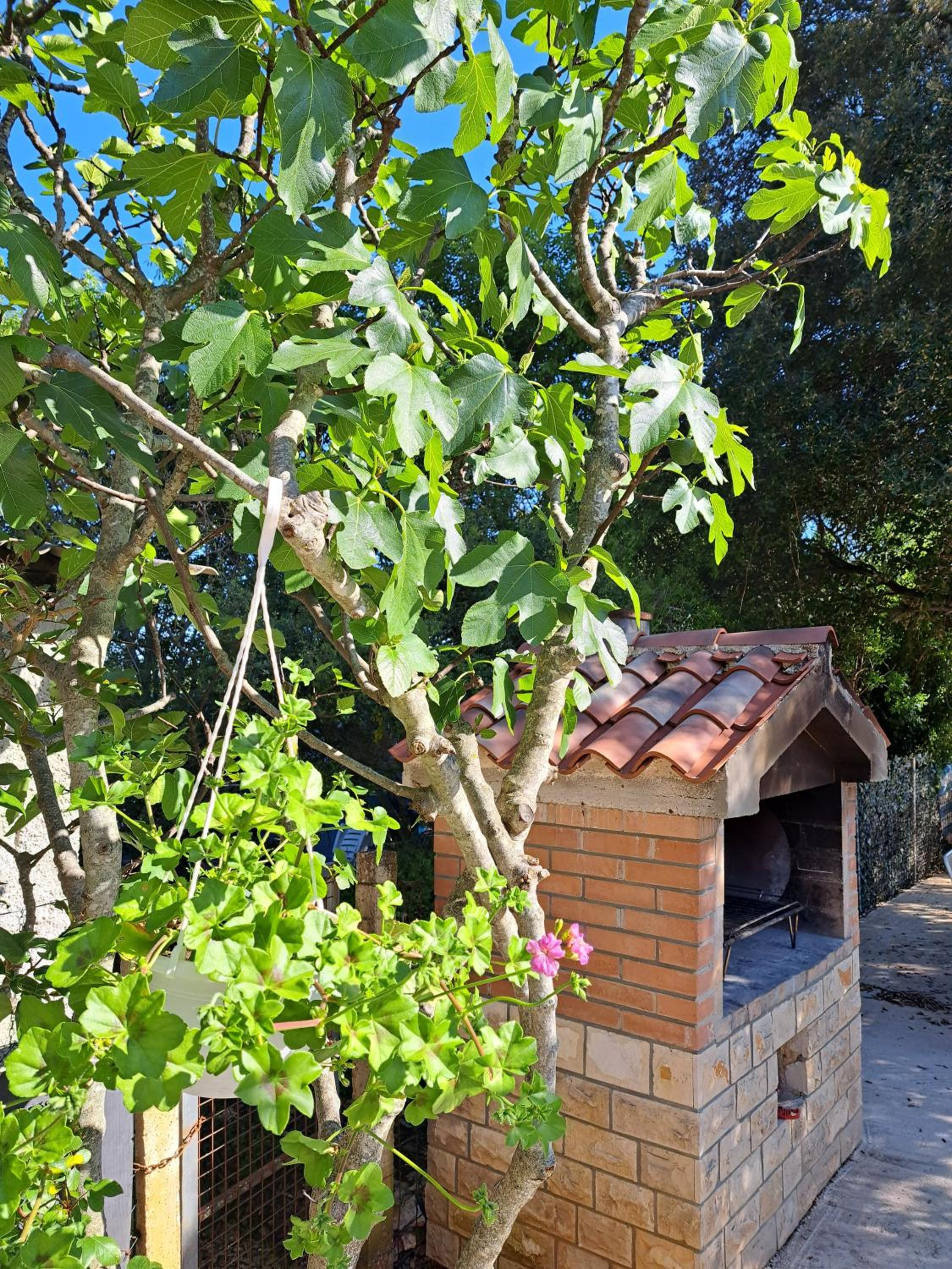 Apartman Melita