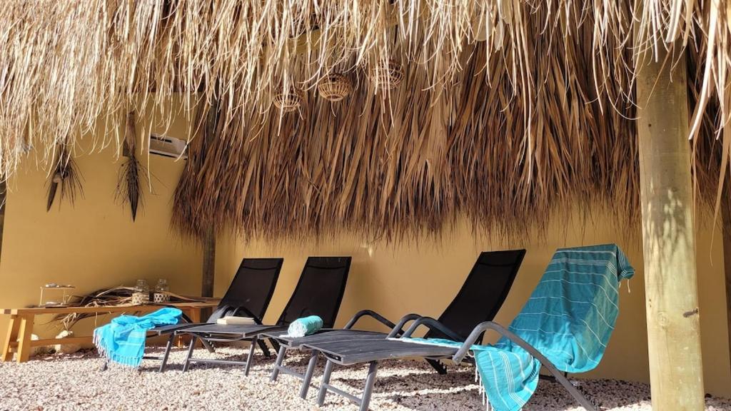 Villa Dushi Arembos, 6 persons, private pool, comfortable car, tropical garden