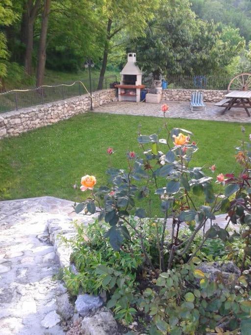 Photo 10