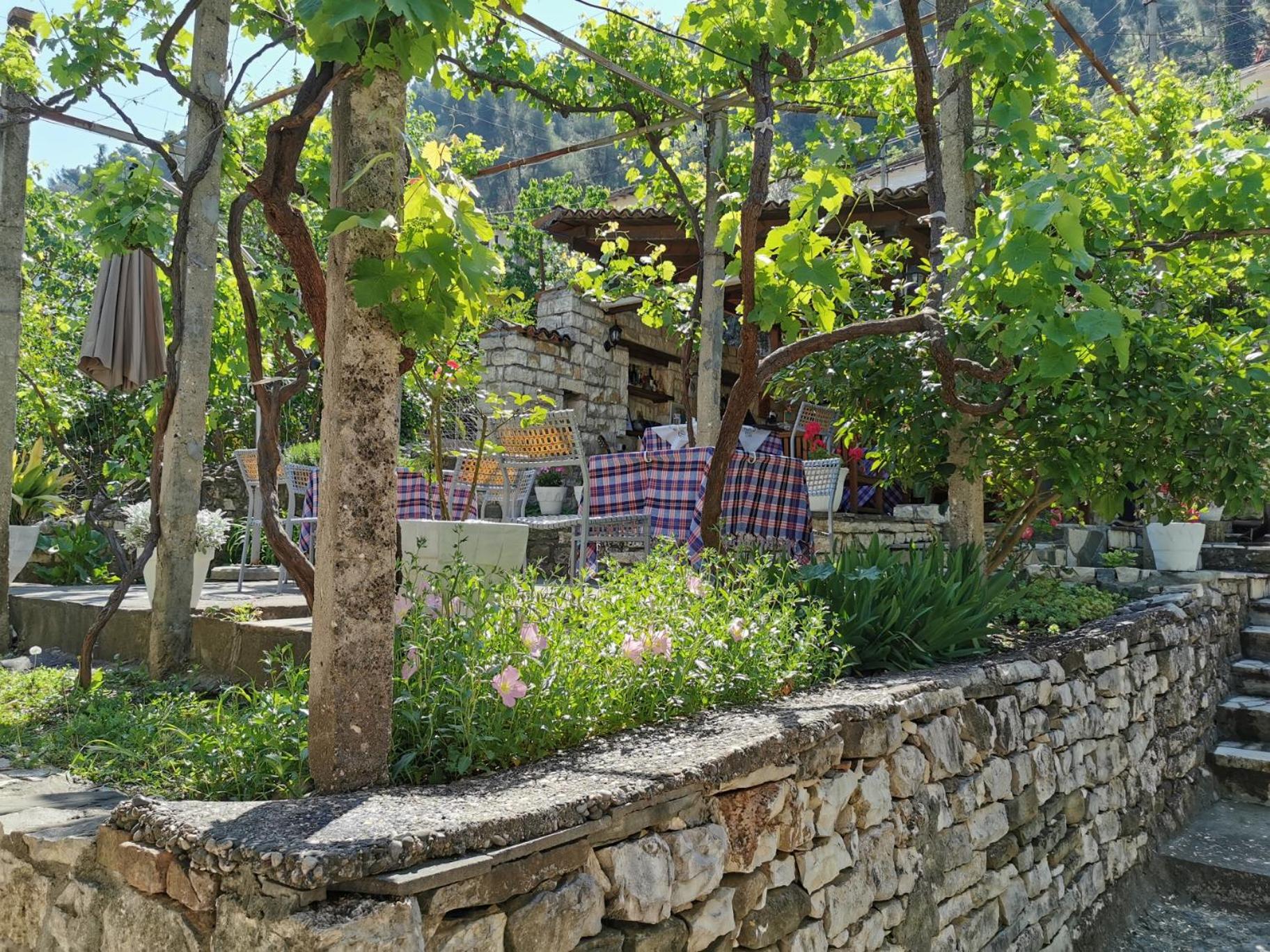 Guesthouse & hostel Lorenc