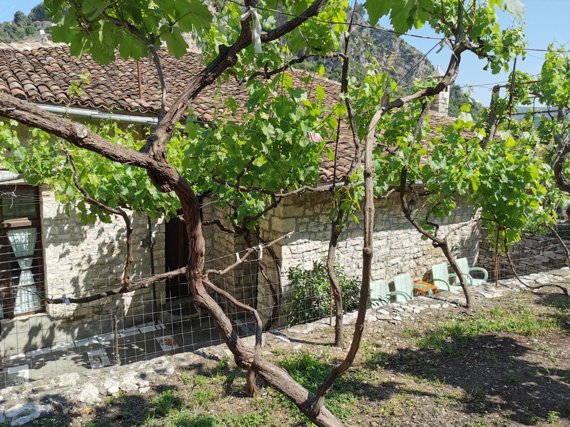 Guesthouse & hostel Lorenc