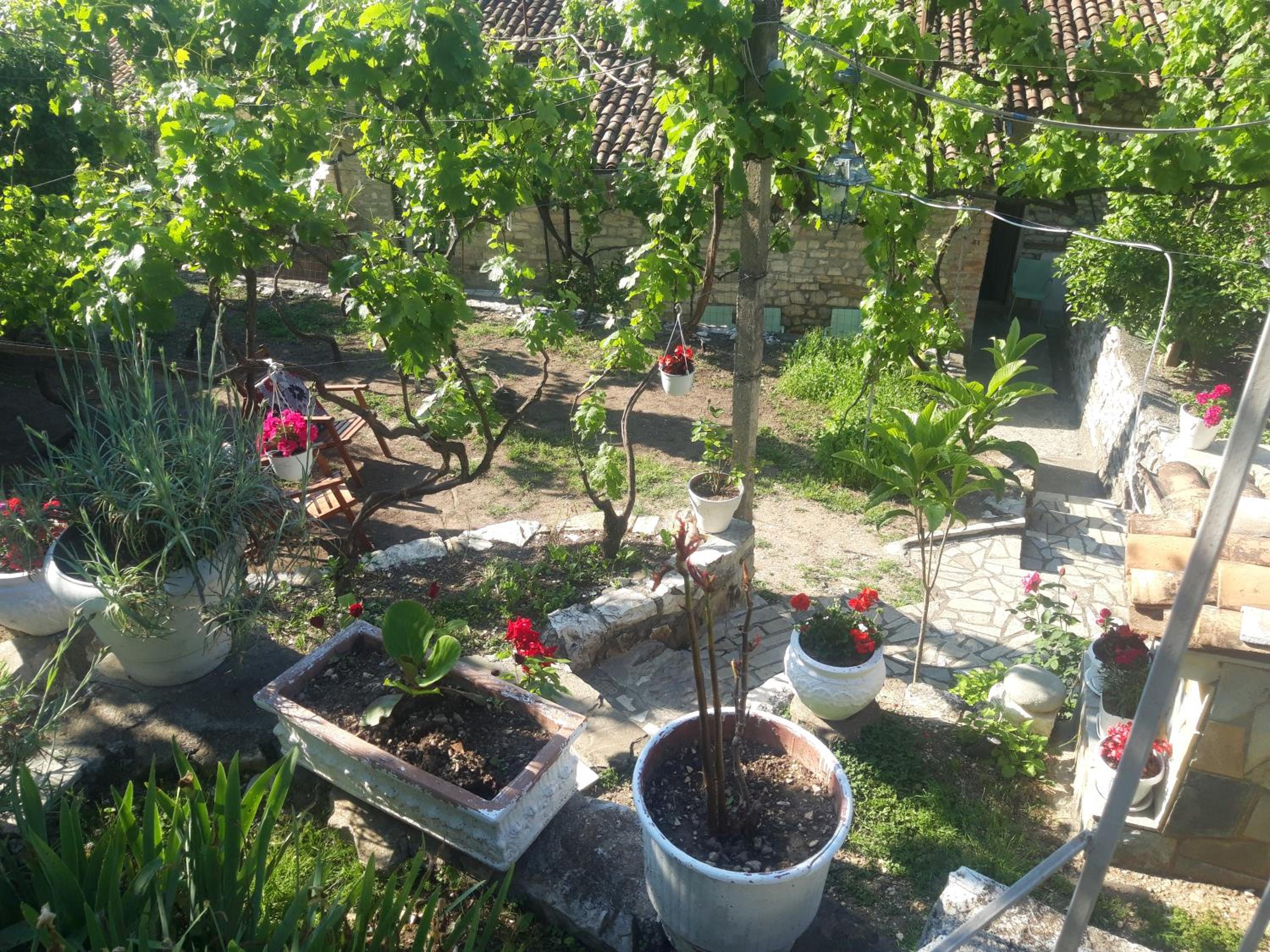 Guesthouse & hostel Lorenc